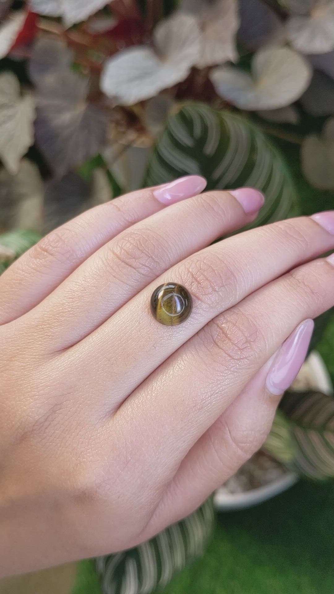 4.58 Ct. Cabochon Tiger's Eye from Ceylon (Sri Lanka) Size Video