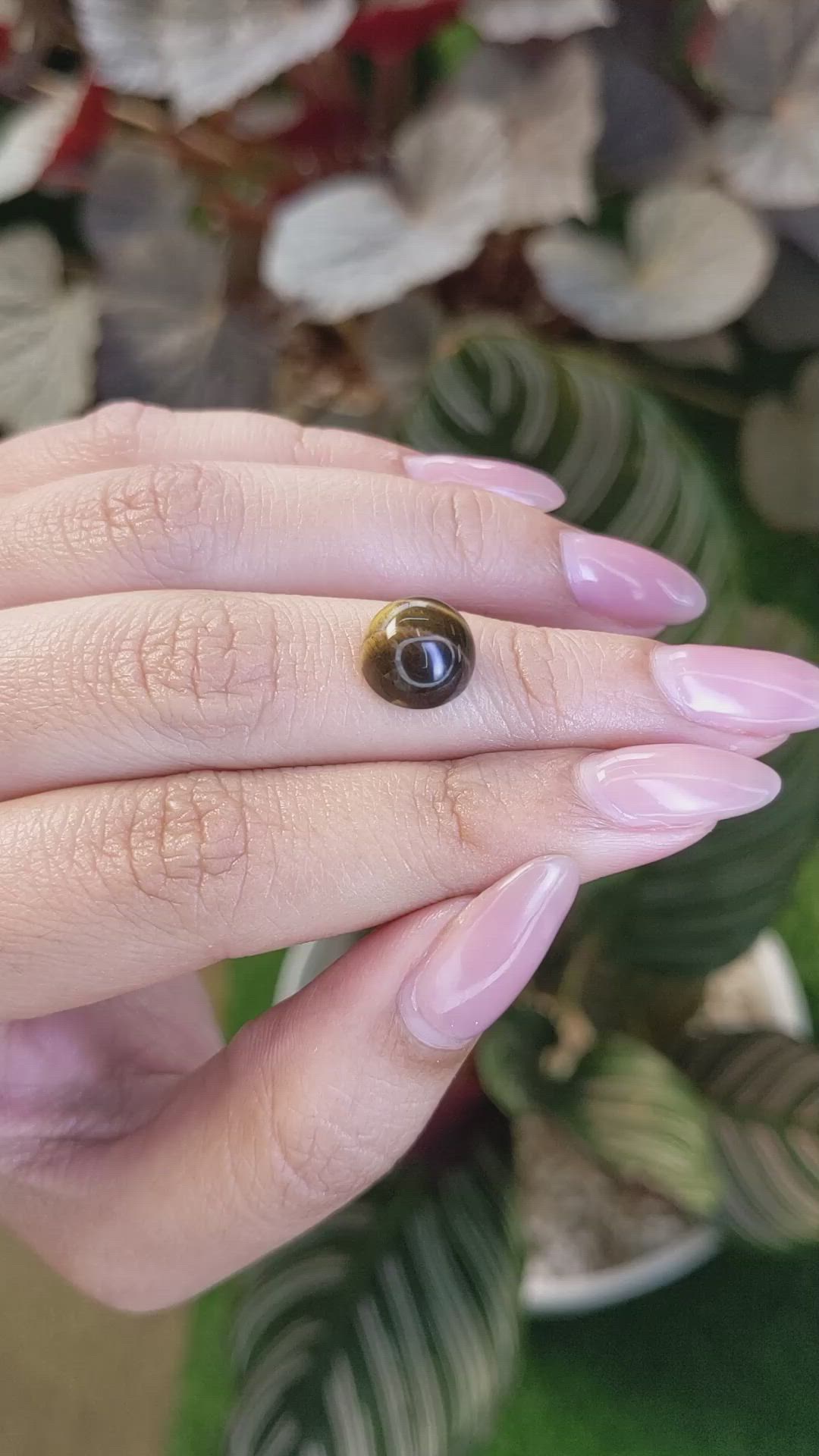 4.58 Ct. Cabochon Tiger's Eye from Ceylon (Sri Lanka) Size Video