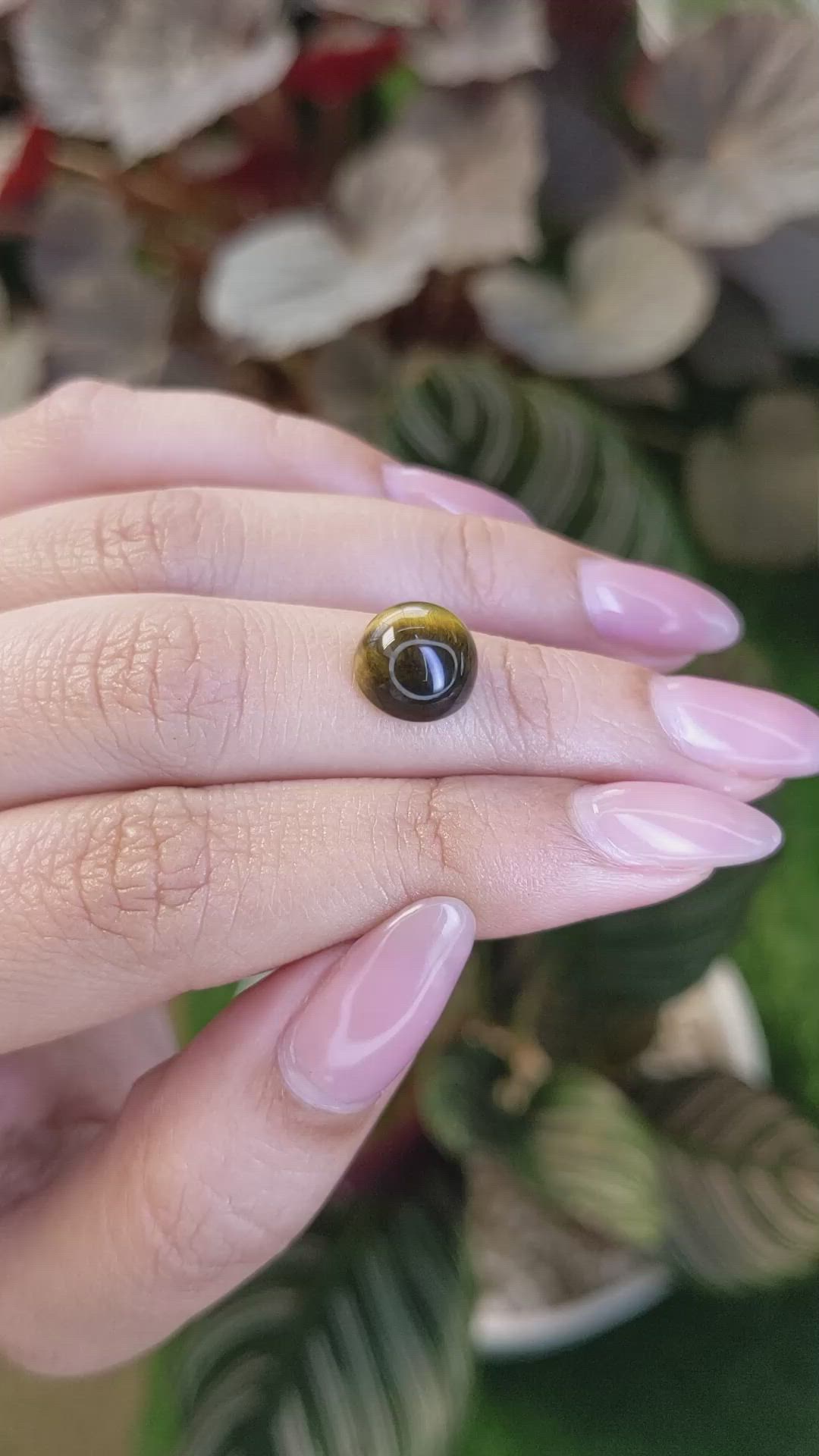 4.38 Ct. Cabochon Tiger's Eye from Ceylon (Sri Lanka) Size Video