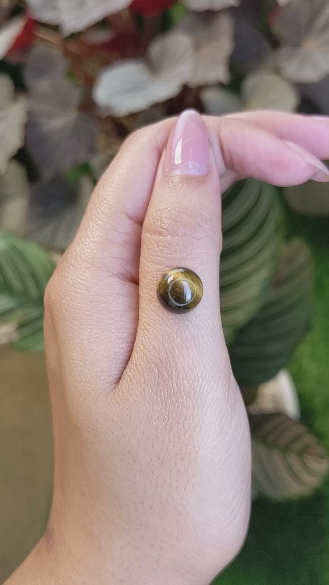 4.38 Ct. Cabochon Tiger's Eye from Ceylon (Sri Lanka) Size Video