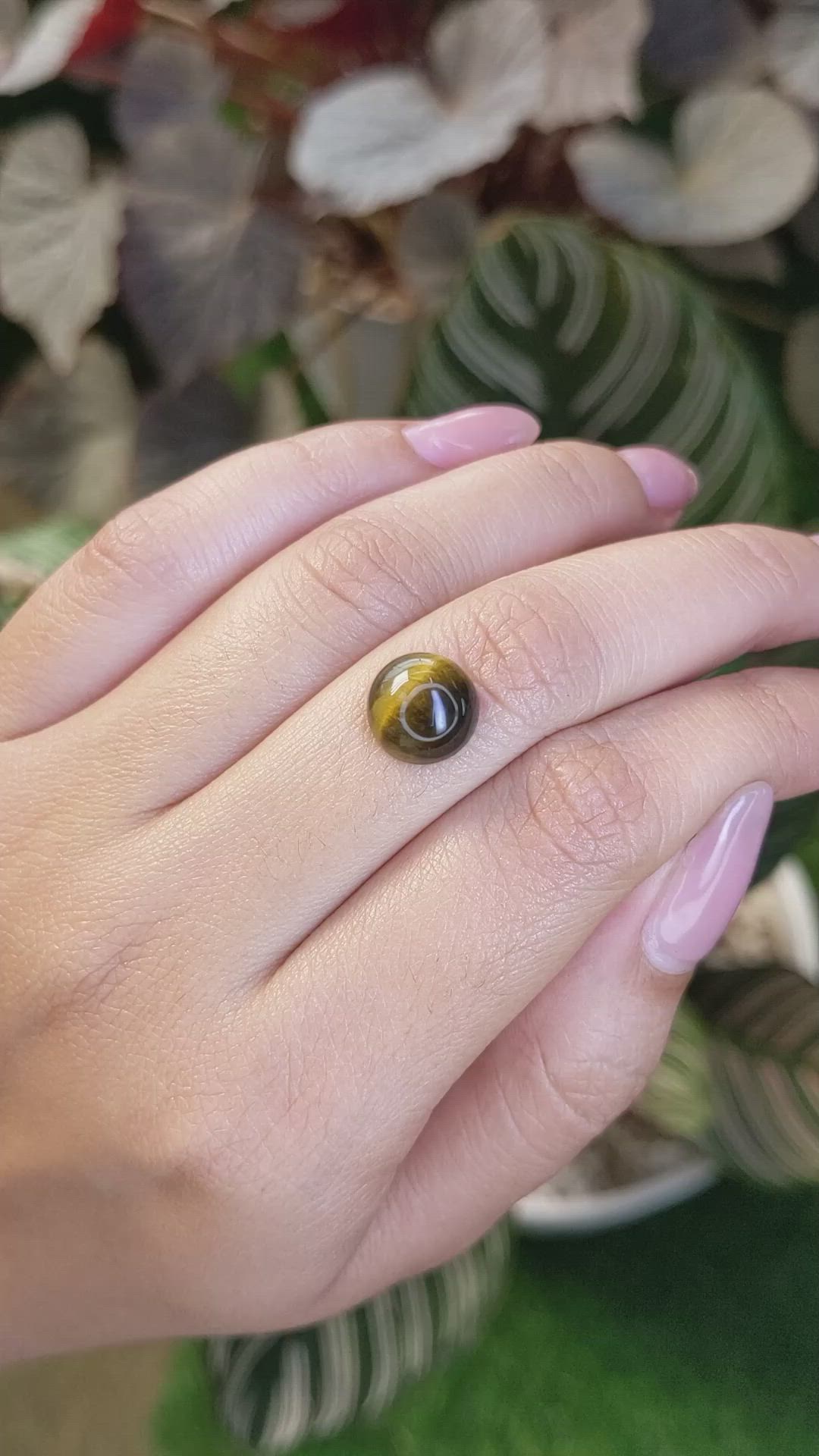 4.38 Ct. Cabochon Tiger's Eye from Ceylon (Sri Lanka) Size Video