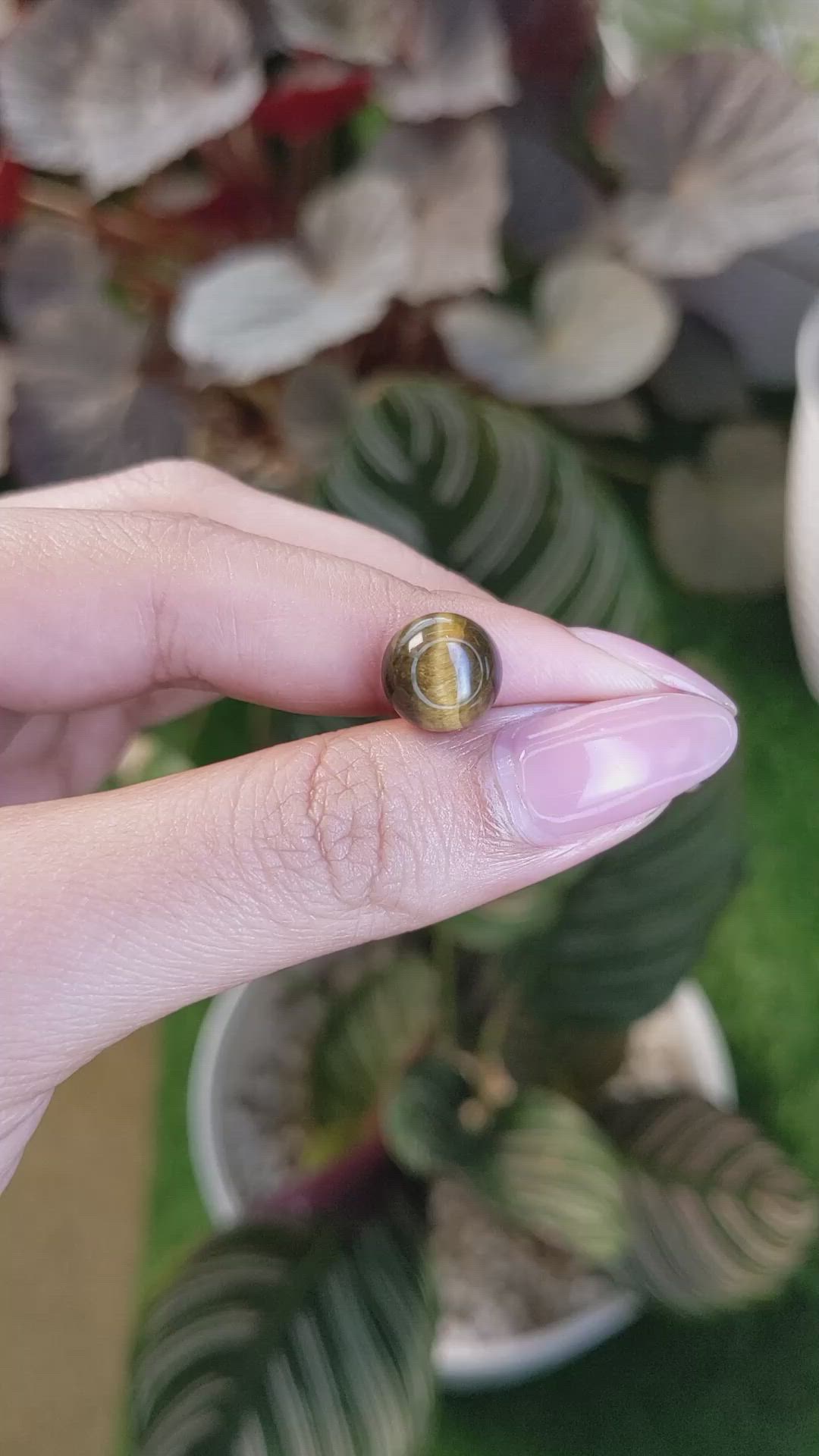 4.38 Ct. Cabochon Tiger's Eye from Ceylon (Sri Lanka) Size Video