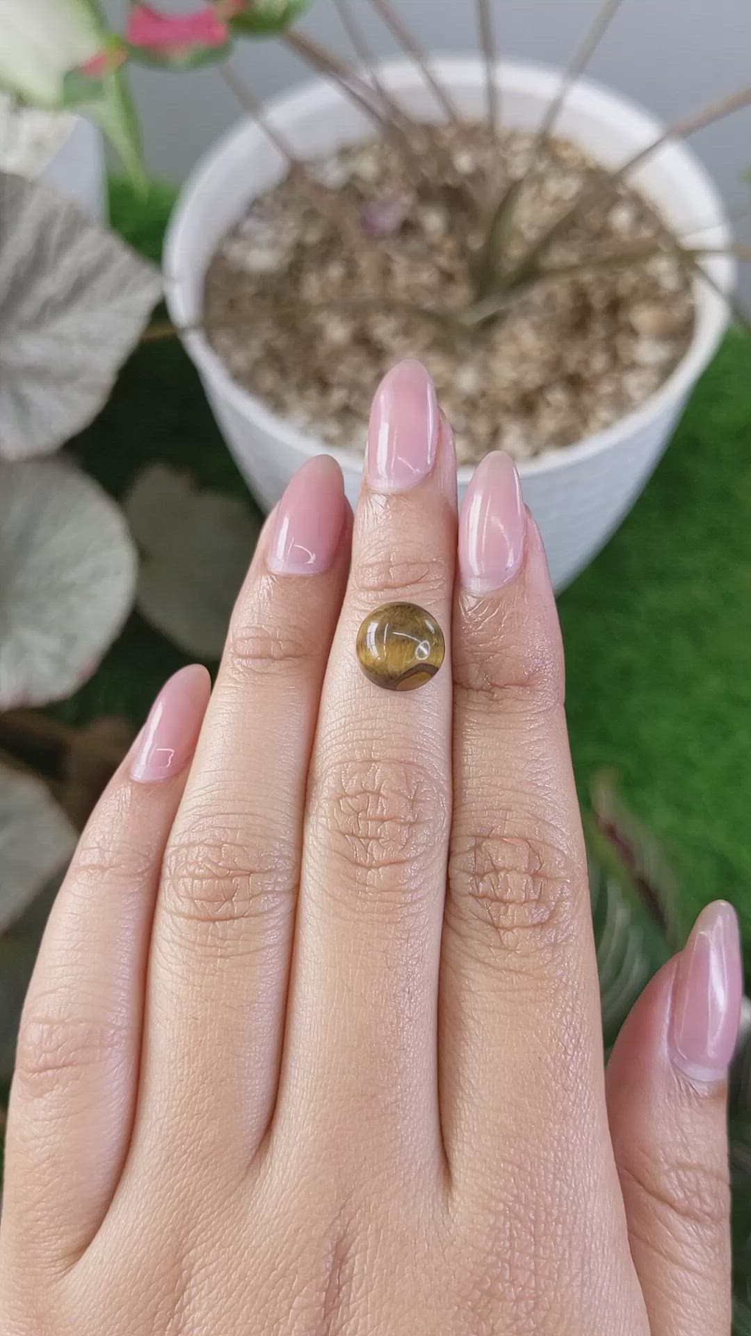 4.33 Ct. Cabochon Tiger's Eye from Ceylon (Sri Lanka) Size Video