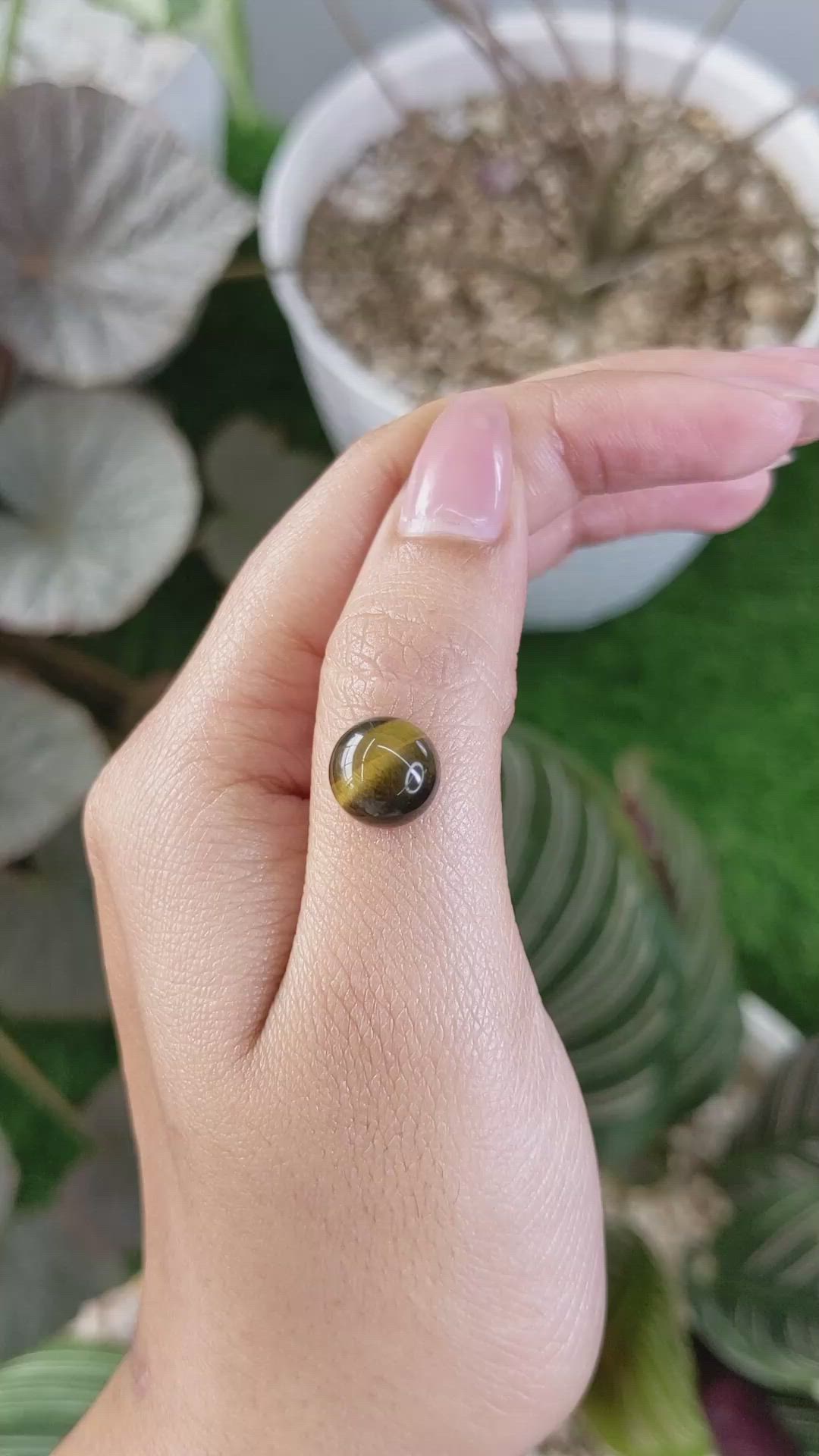 4.31 Ct. Cabochon Tiger's Eye from Ceylon (Sri Lanka) Size Video