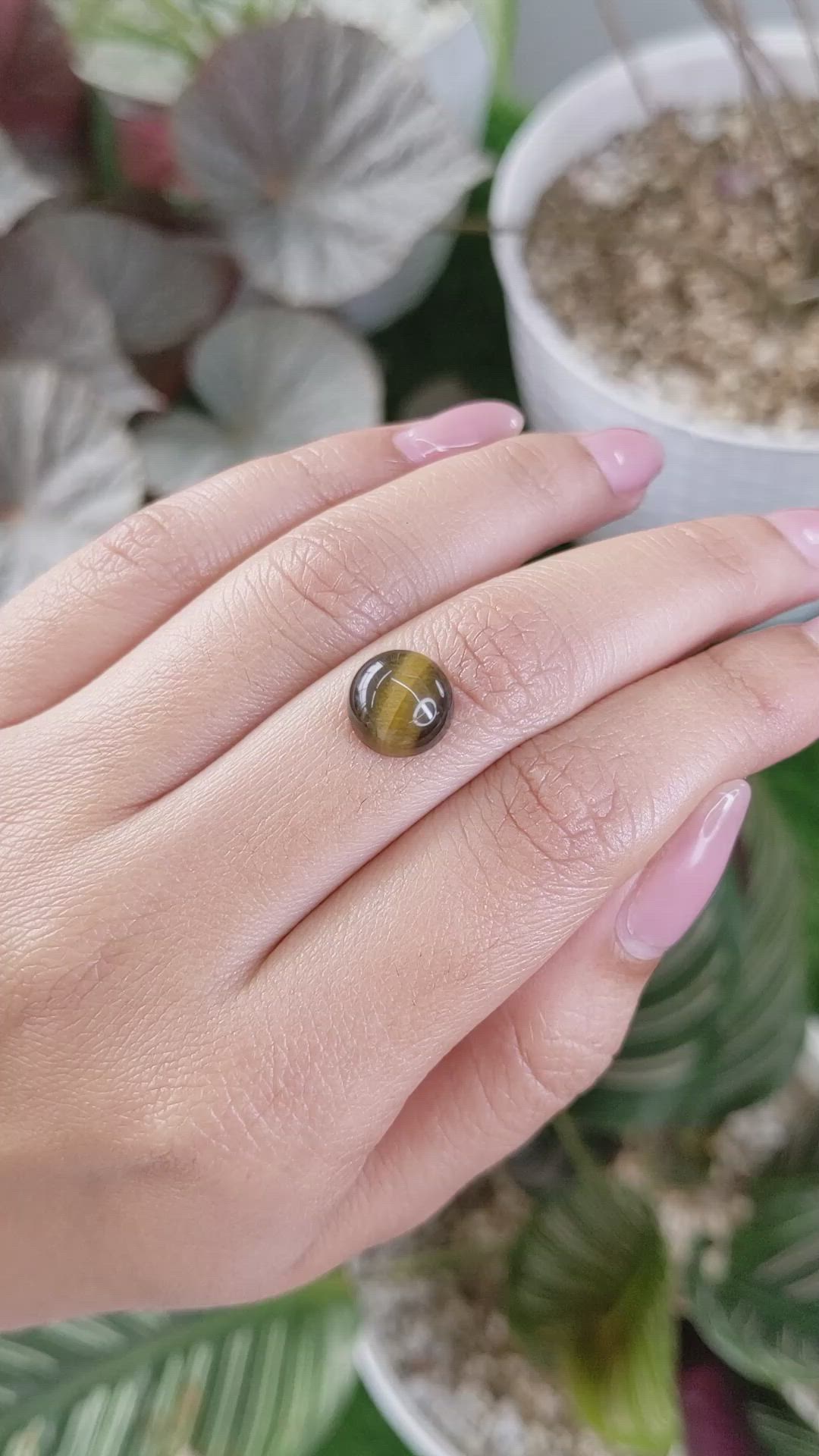 4.31 Ct. Cabochon Tiger's Eye from Ceylon (Sri Lanka) Size Video