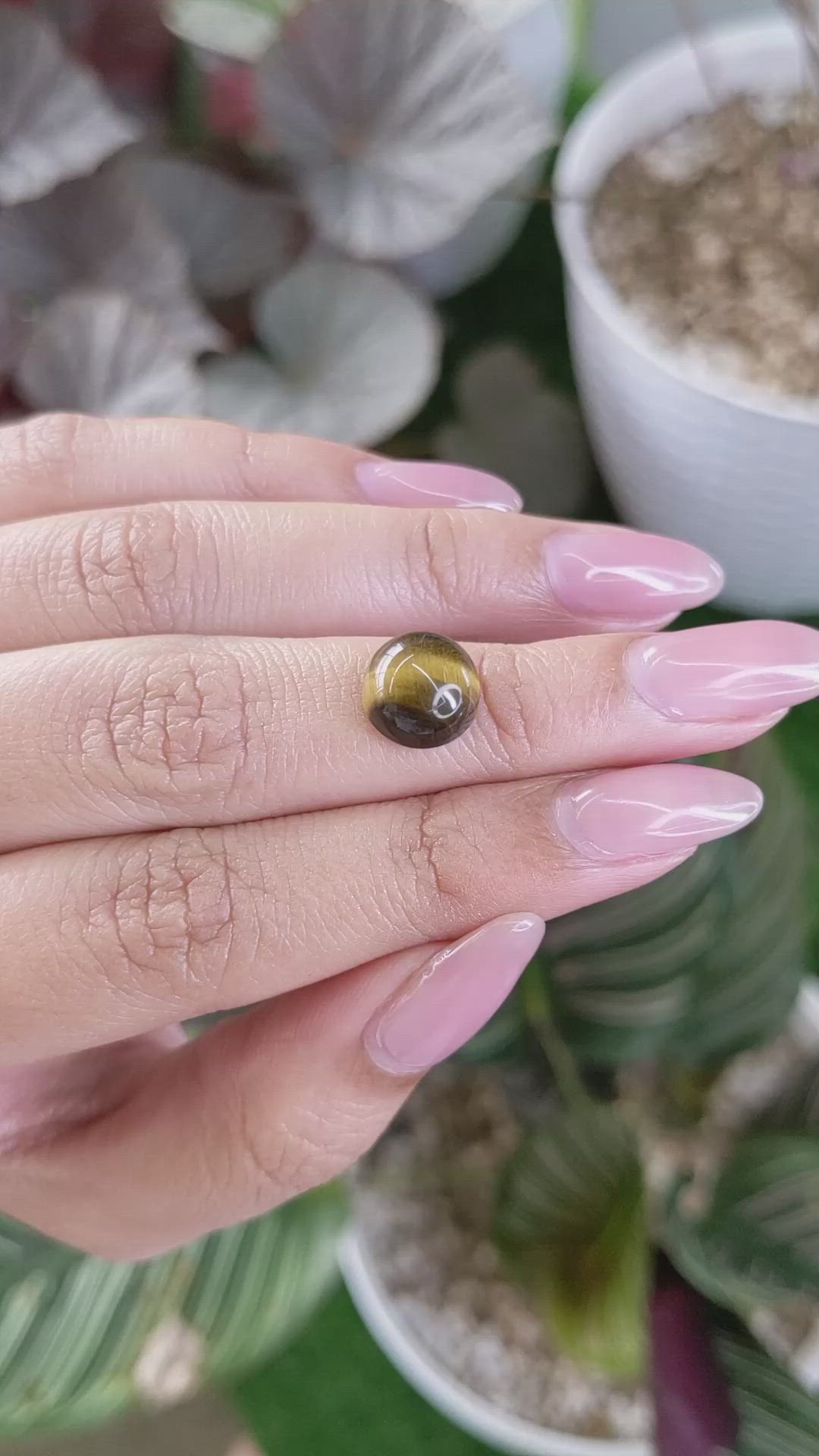 4.31 Ct. Cabochon Tiger's Eye from Ceylon (Sri Lanka) Size Video