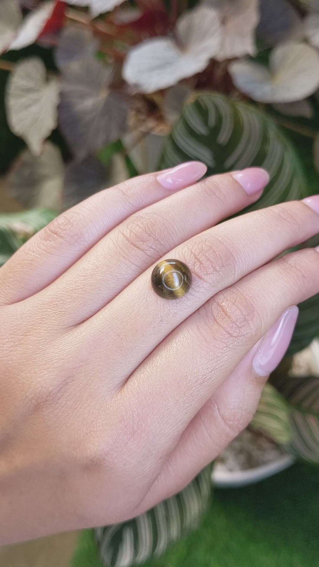 4.47 Ct. Cabochon Tiger's Eye from Ceylon (Sri Lanka) Size Video
