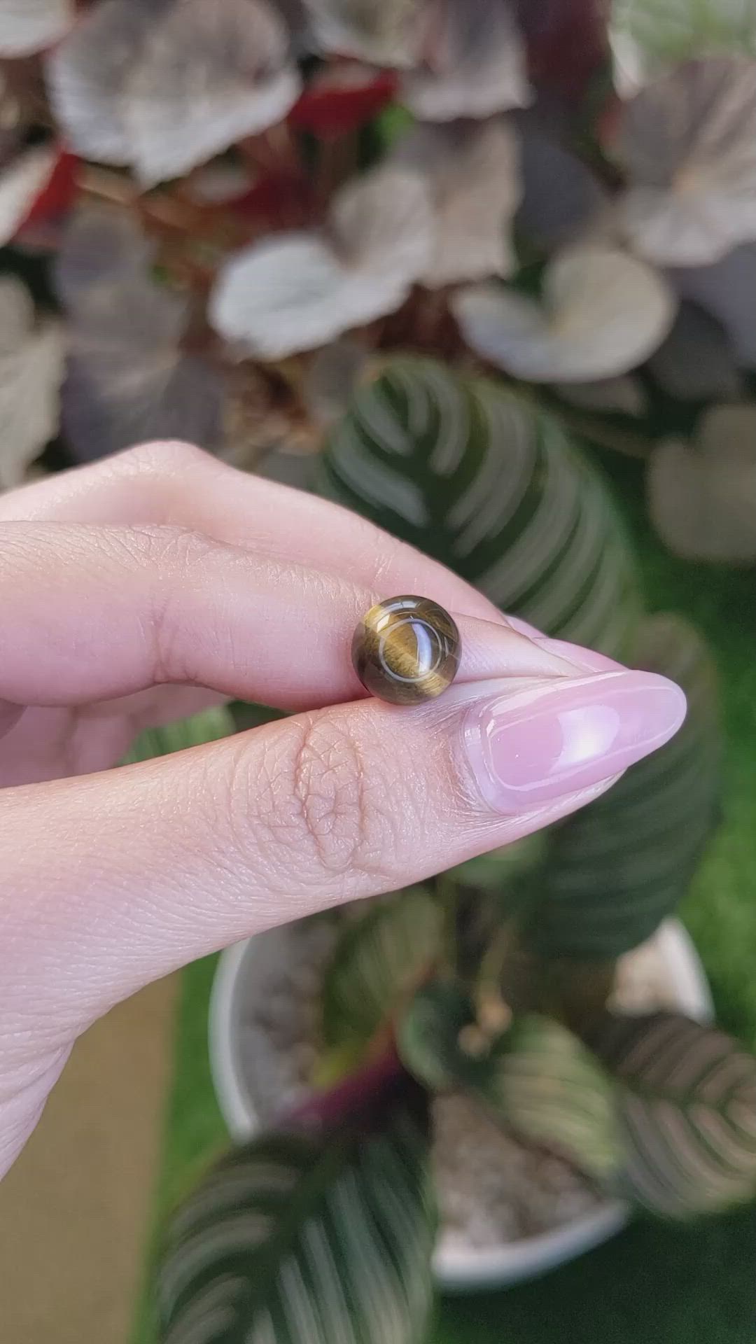 4.47 Ct. Cabochon Tiger's Eye from Ceylon (Sri Lanka) Size Video