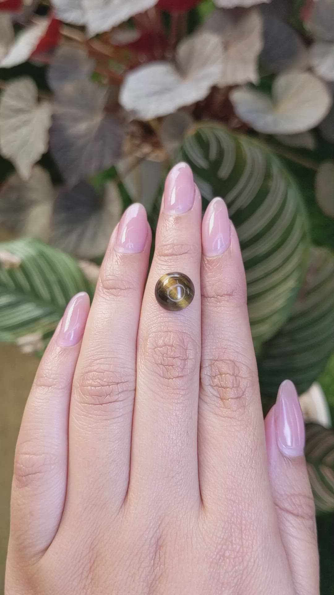 4.47 Ct. Cabochon Tiger's Eye from Ceylon (Sri Lanka) Size Video