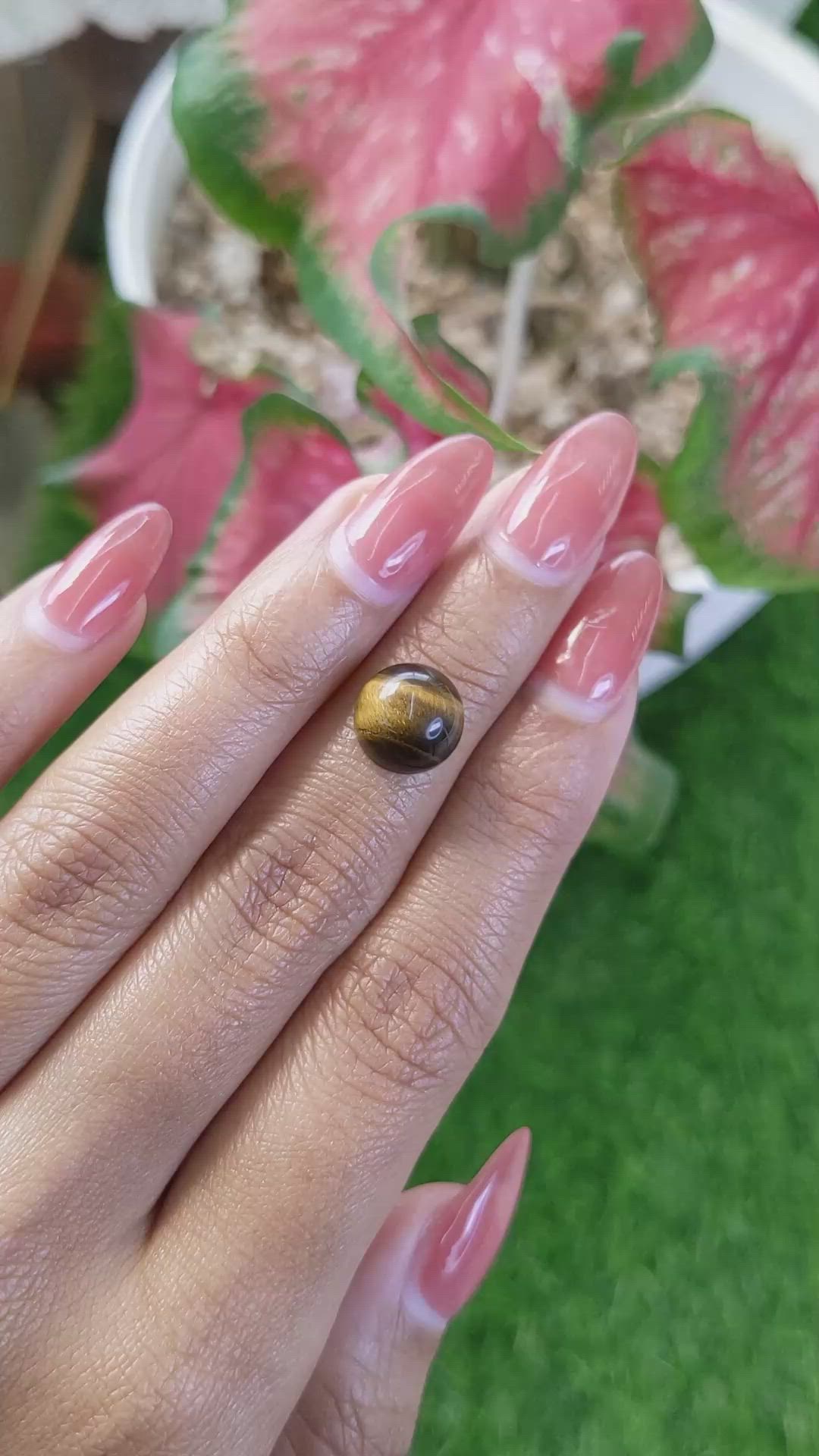 4.75 Ct. Cabochon Tiger's Eye from Ceylon (Sri Lanka) Size Video