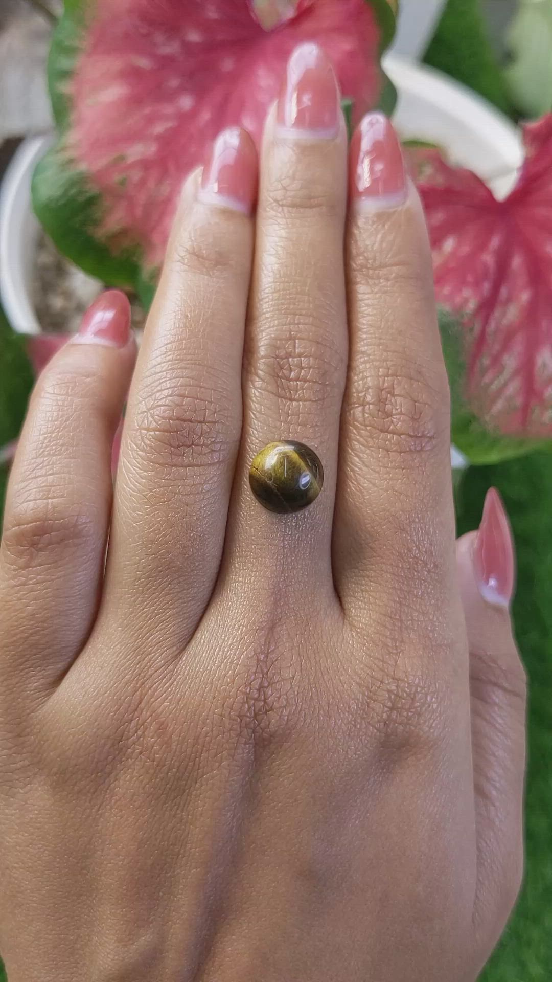 4.75 Ct. Cabochon Tiger's Eye from Ceylon (Sri Lanka) Size Video