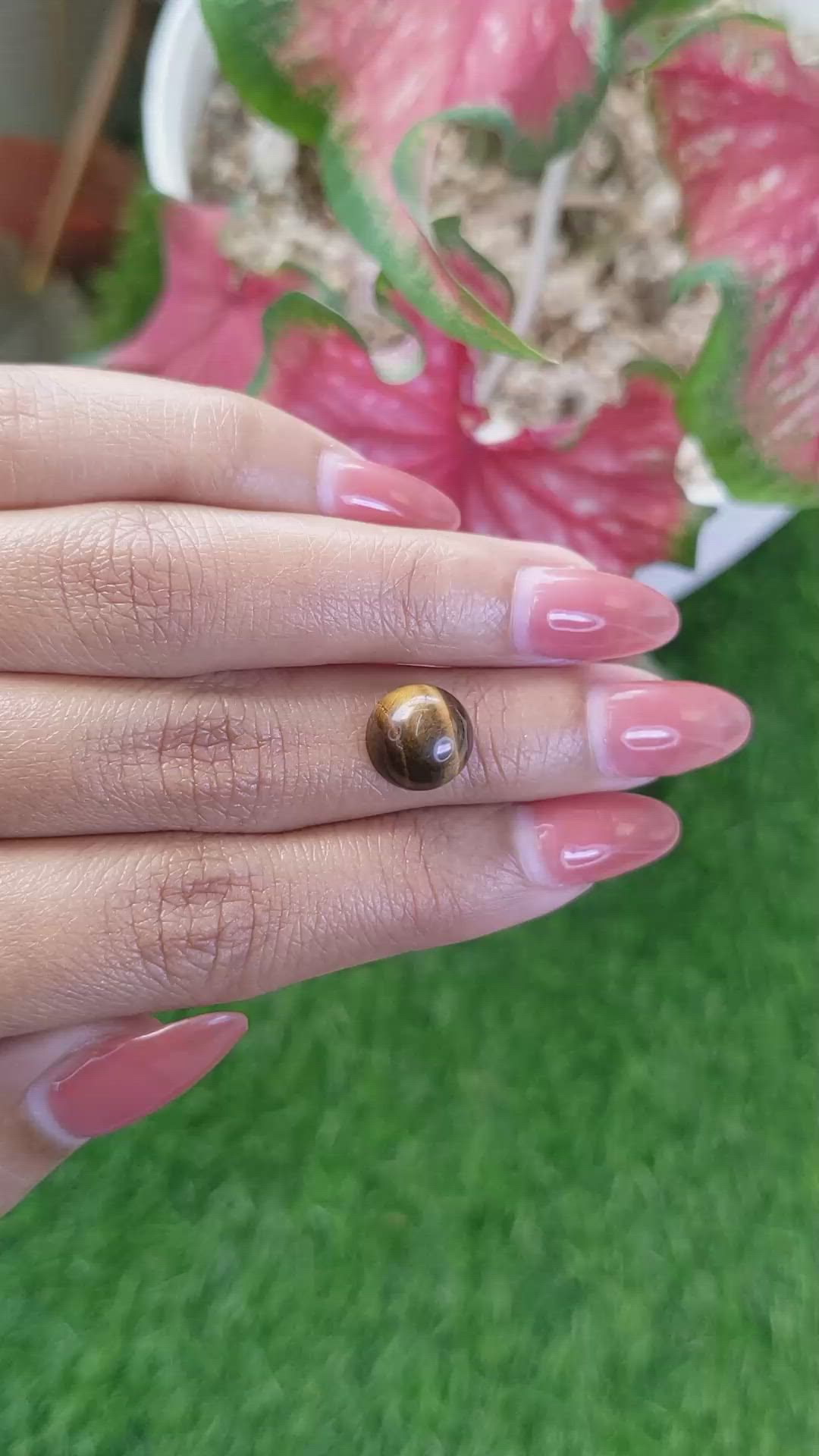 4.75 Ct. Cabochon Tiger's Eye from Ceylon (Sri Lanka) Size Video