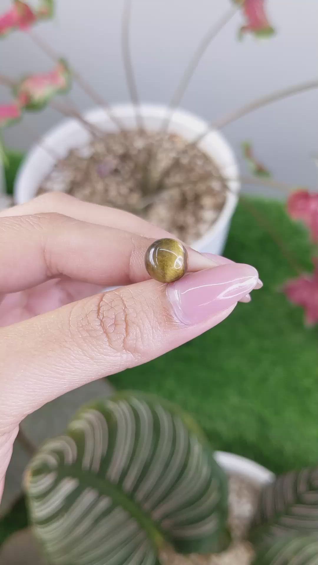 4.24 Ct. Cabochon Tiger's Eye from Ceylon (Sri Lanka) Size Video