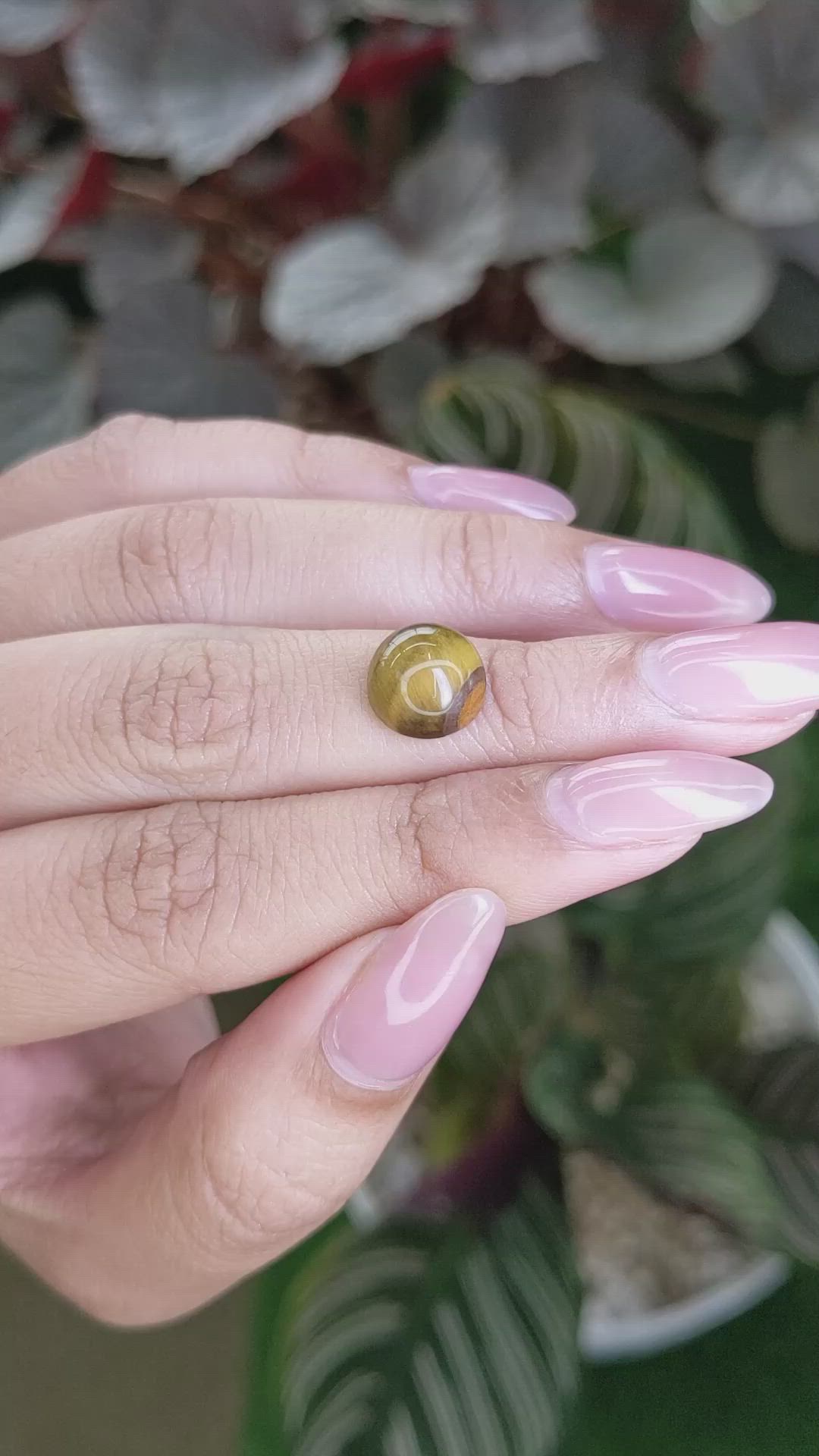 4.24 Ct. Cabochon Tiger's Eye from Ceylon (Sri Lanka) Size Video