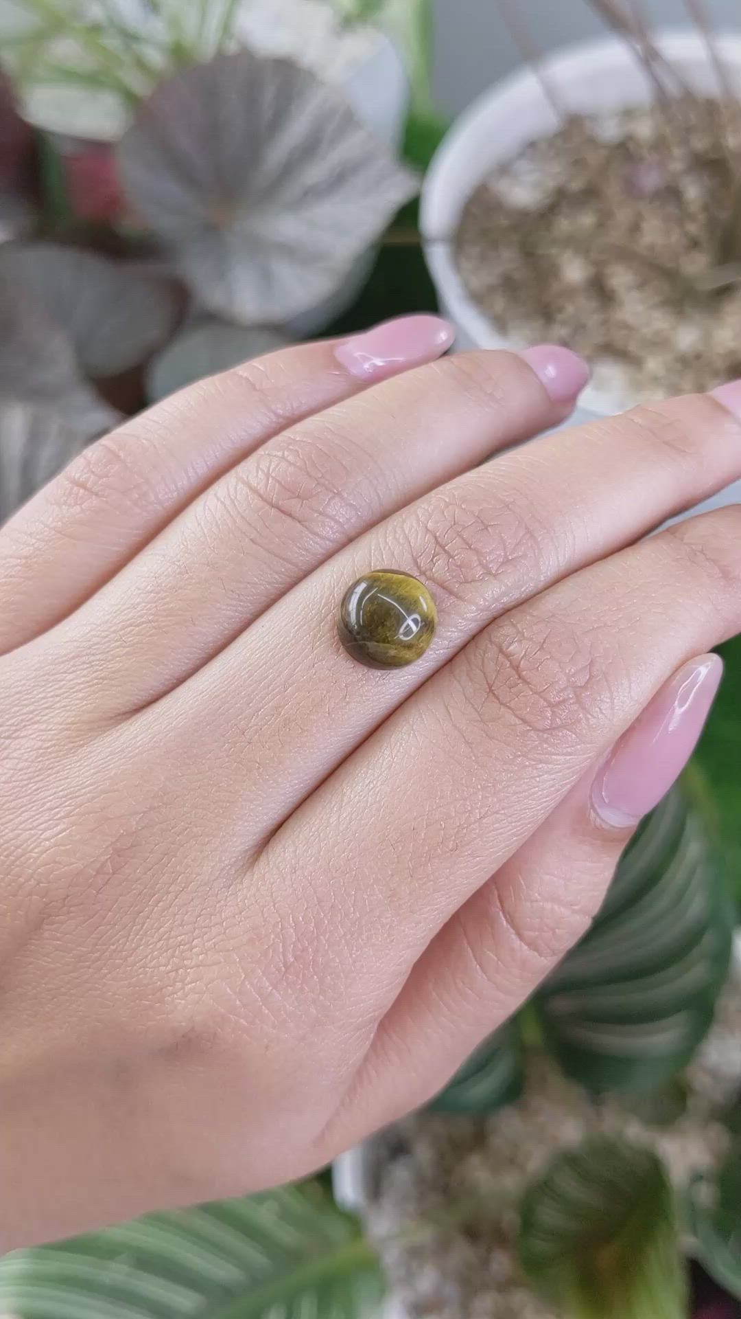 4.24 Ct. Cabochon Tiger's Eye from Ceylon (Sri Lanka) Size Video