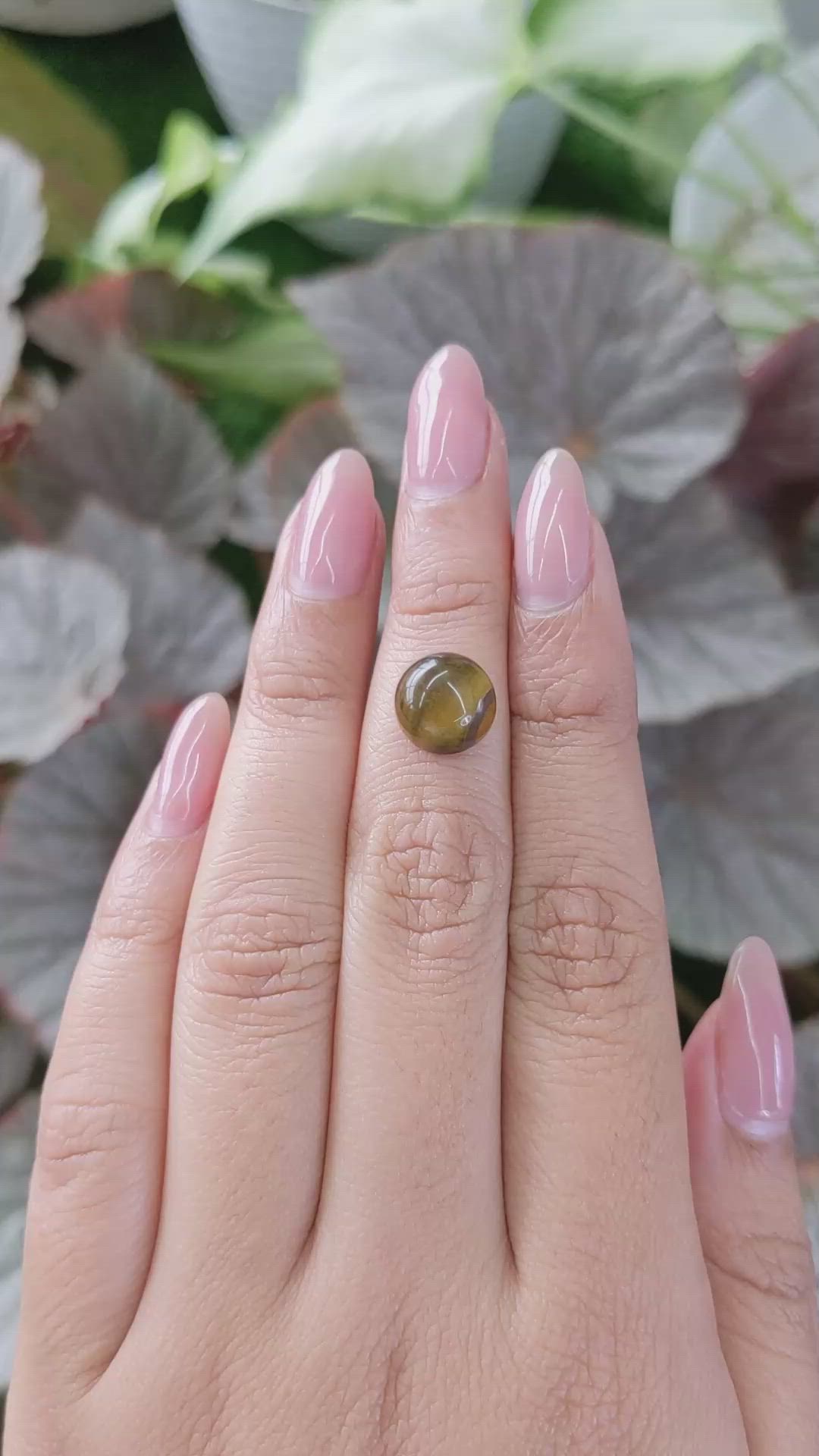 4.24 Ct. Cabochon Tiger's Eye from Ceylon (Sri Lanka) Size Video