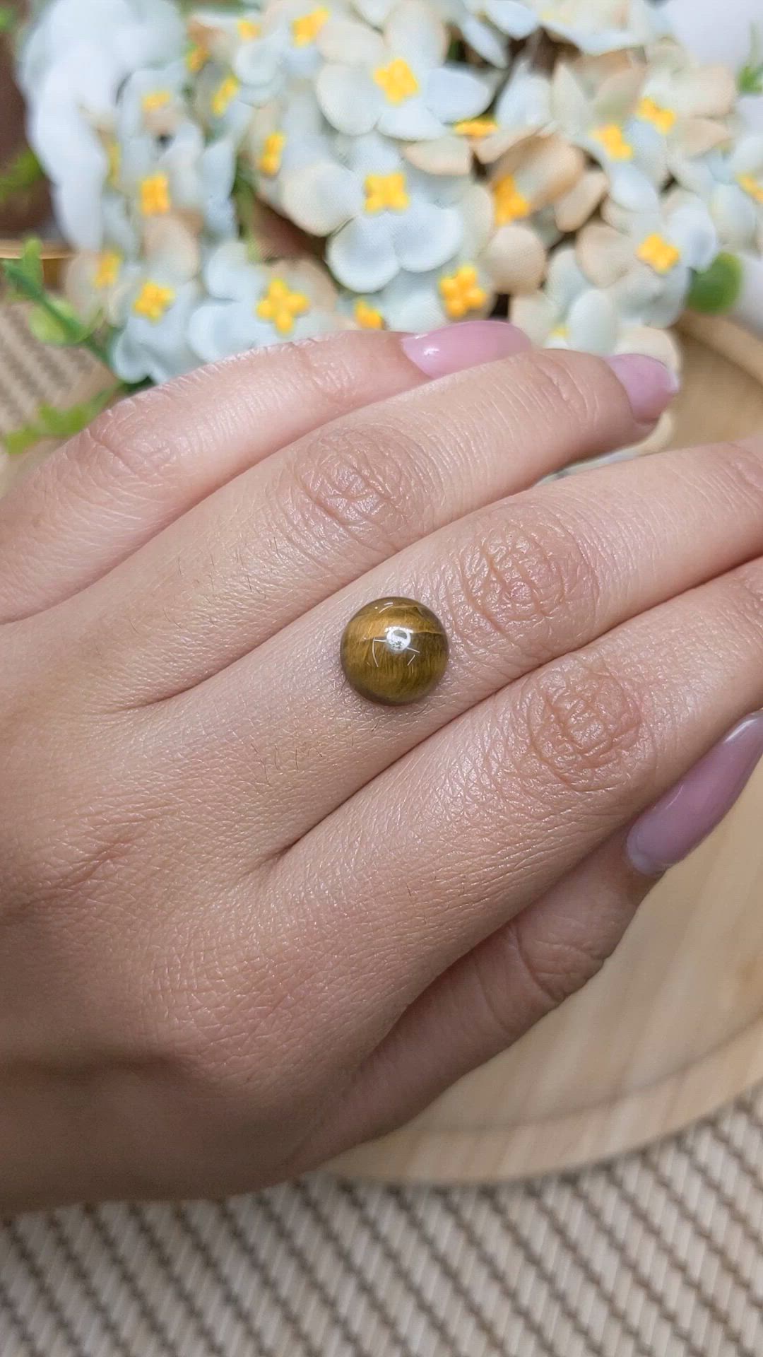 4.24 Ct. Cabochon Tiger's Eye from Ceylon (Sri Lanka) Size Video