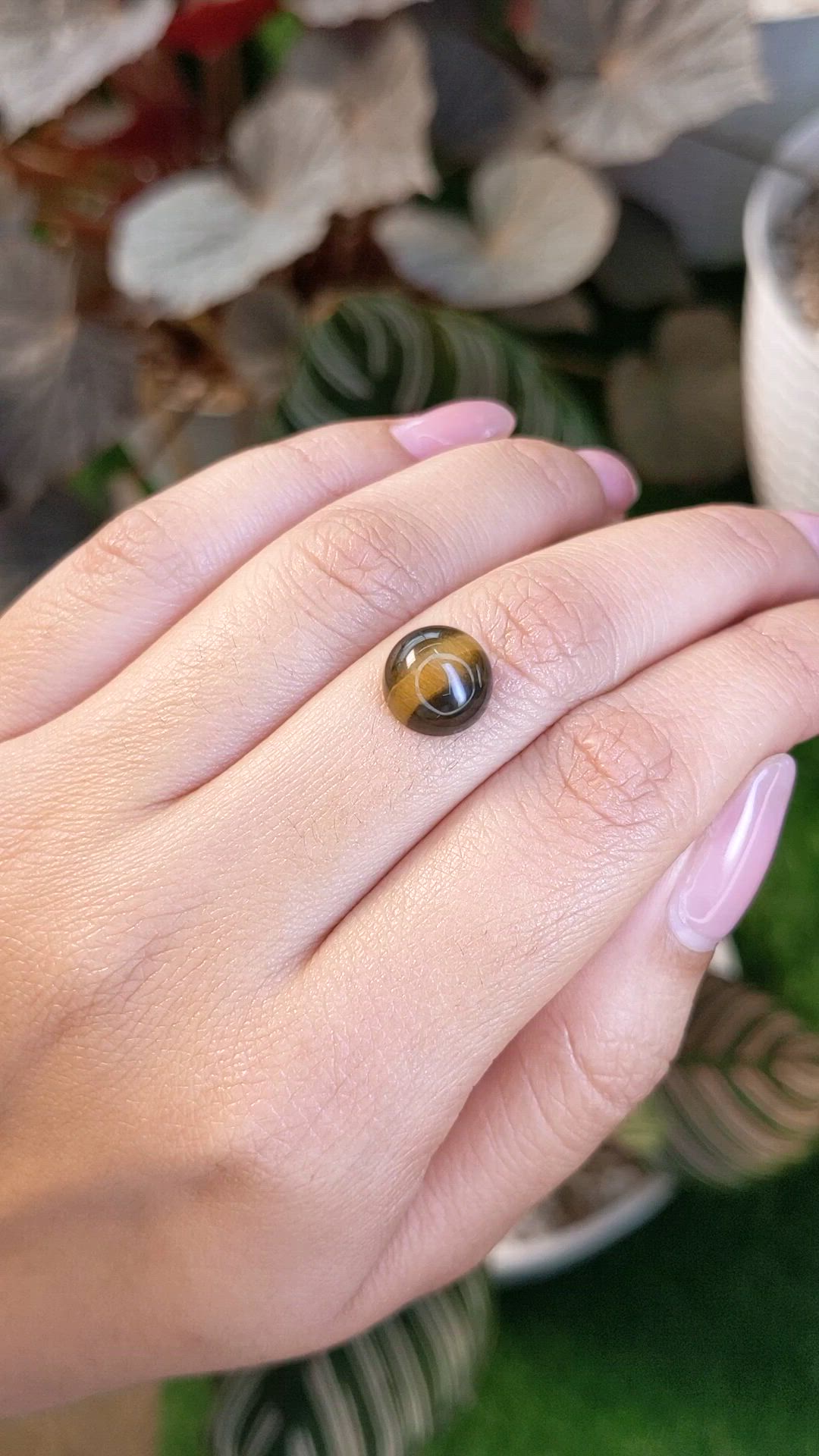 4.31 Ct. Cabochon Tiger's Eye from Ceylon (Sri Lanka) Size Video