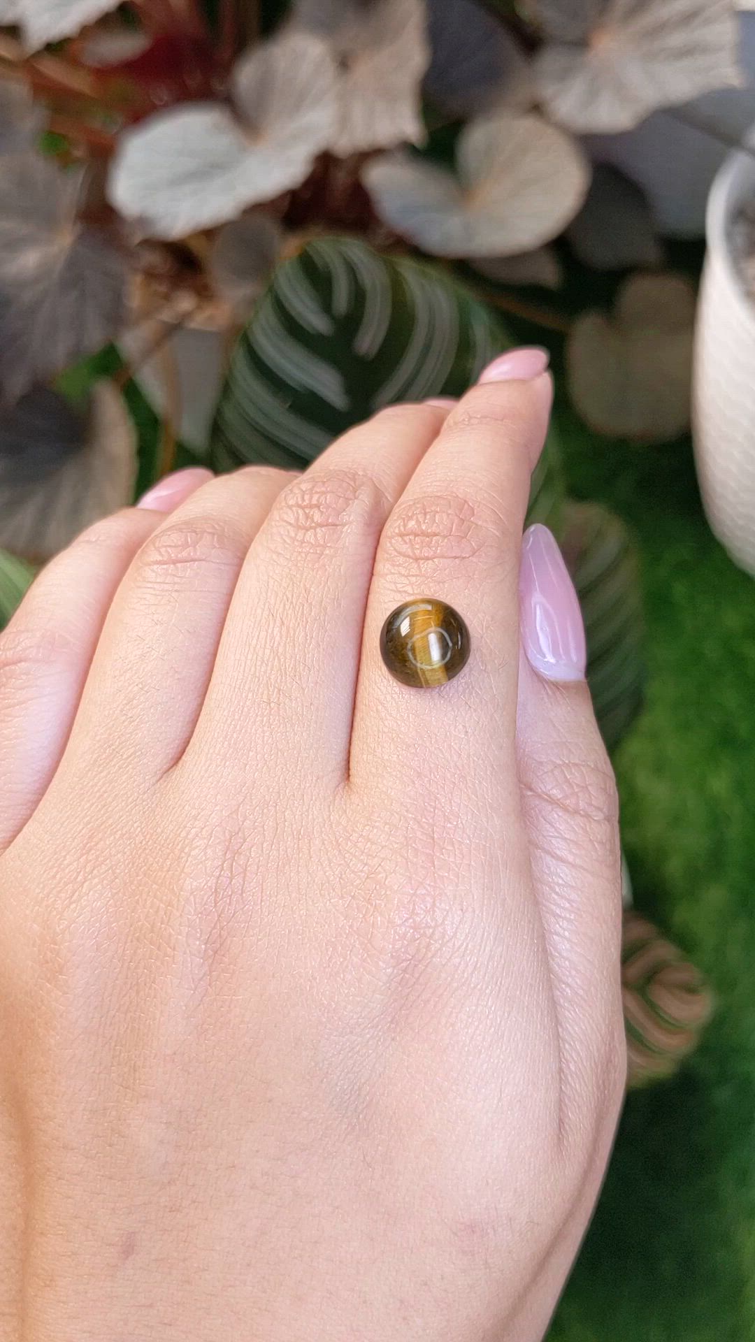 4.31 Ct. Cabochon Tiger's Eye from Ceylon (Sri Lanka) Size Video