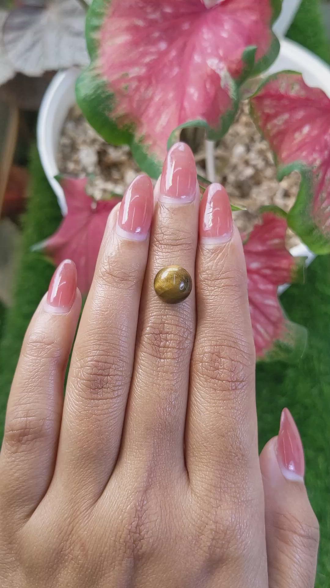 4.43 Ct. Cabochon Tiger's Eye from Ceylon (Sri Lanka) Size Video