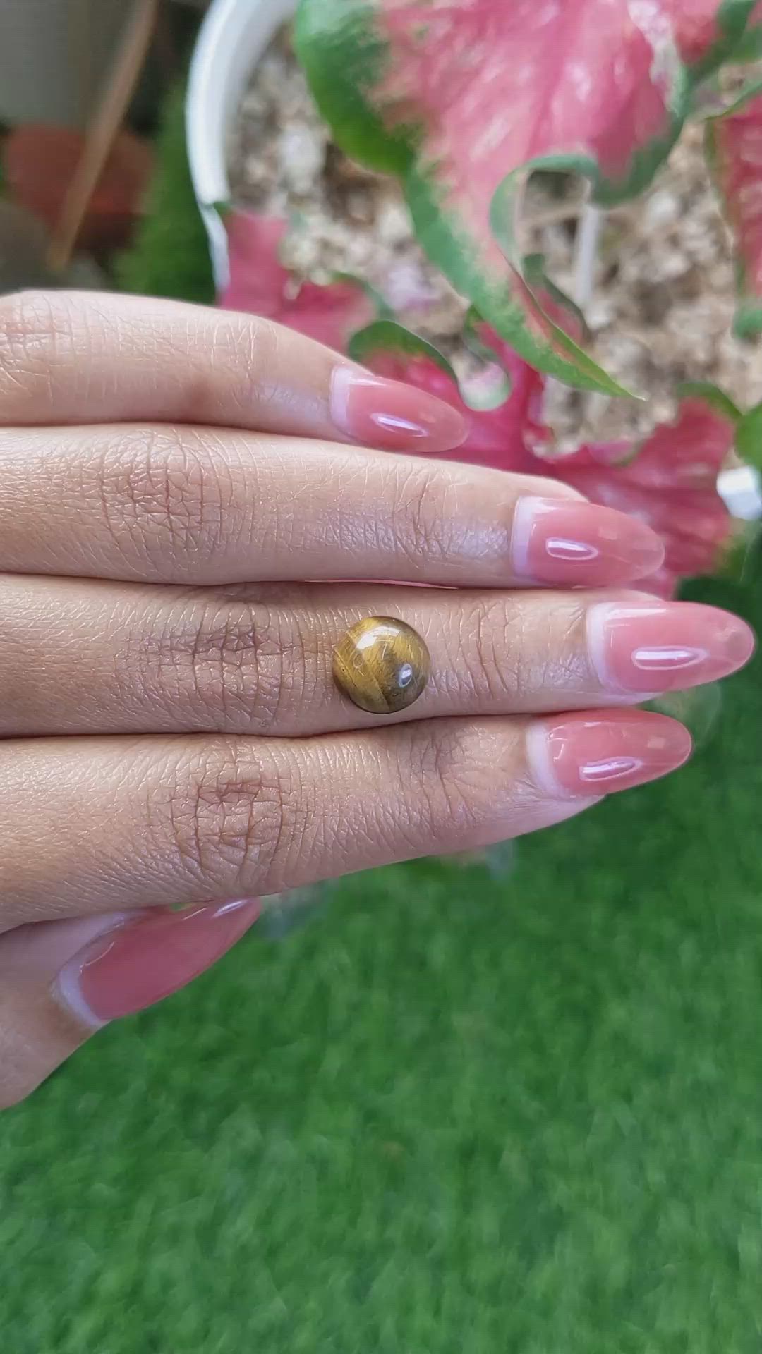4.43 Ct. Cabochon Tiger's Eye from Ceylon (Sri Lanka) Size Video