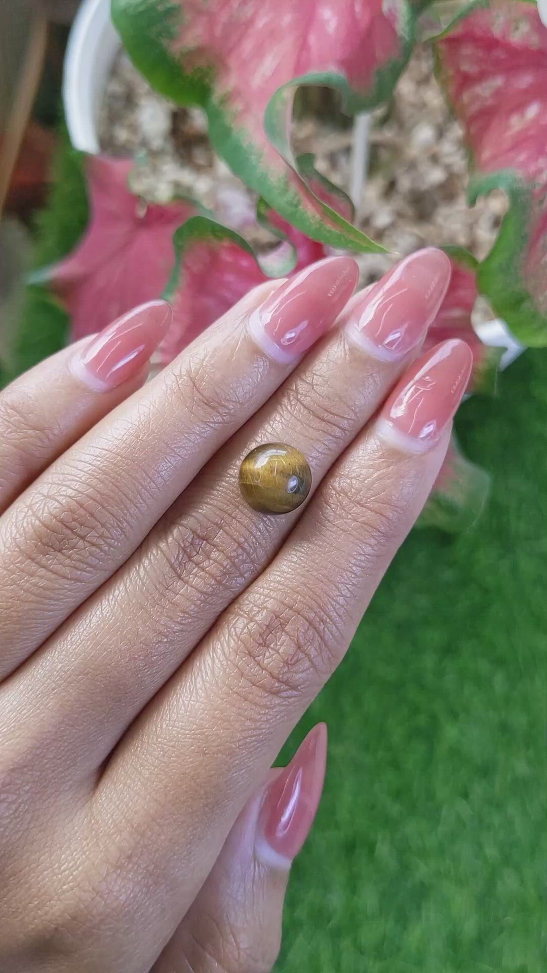 4.43 Ct. Cabochon Tiger's Eye from Ceylon (Sri Lanka) Size Video