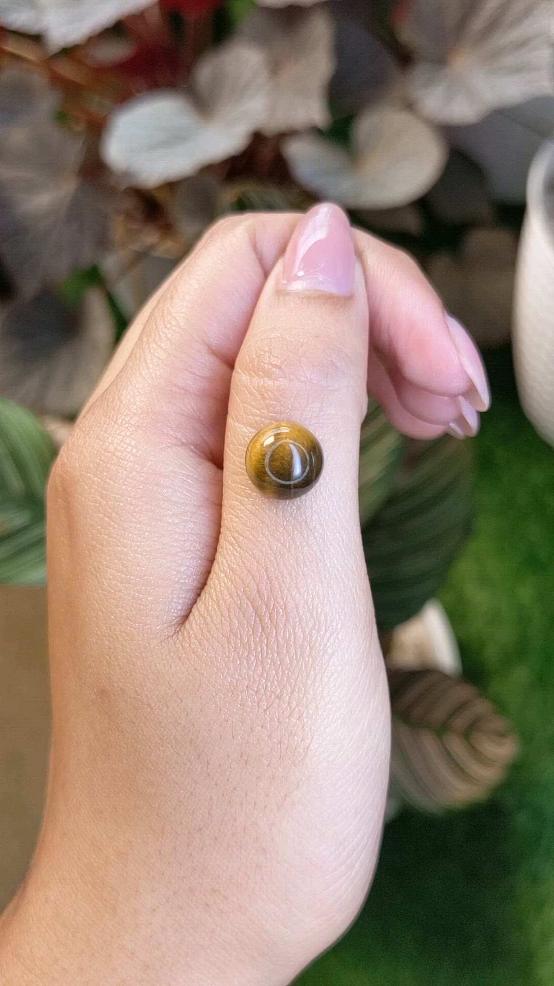 4.22 Ct. Cabochon Tiger's Eye from Ceylon (Sri Lanka) Size Video