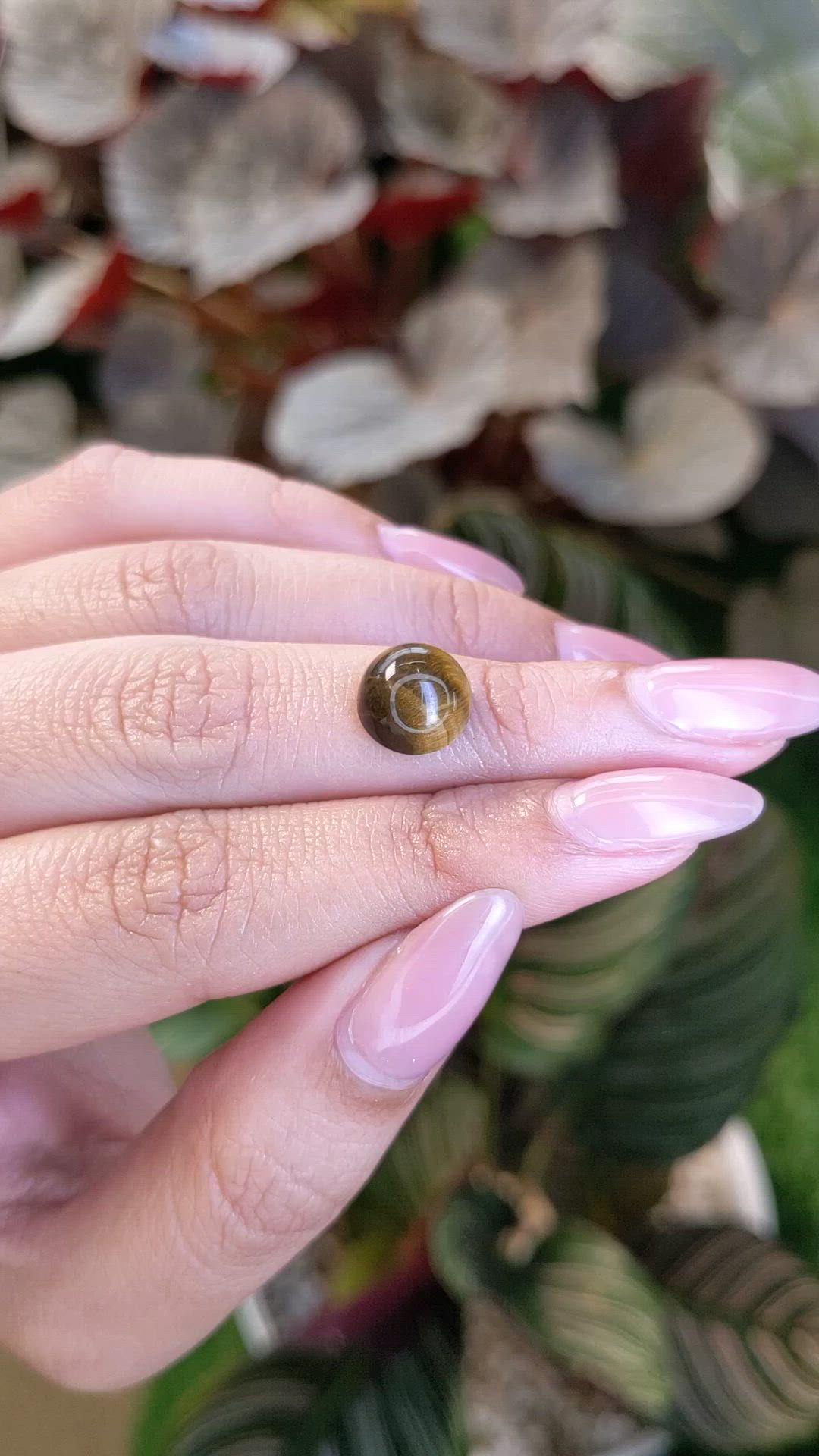 4.22 Ct. Cabochon Tiger's Eye from Ceylon (Sri Lanka) Size Video