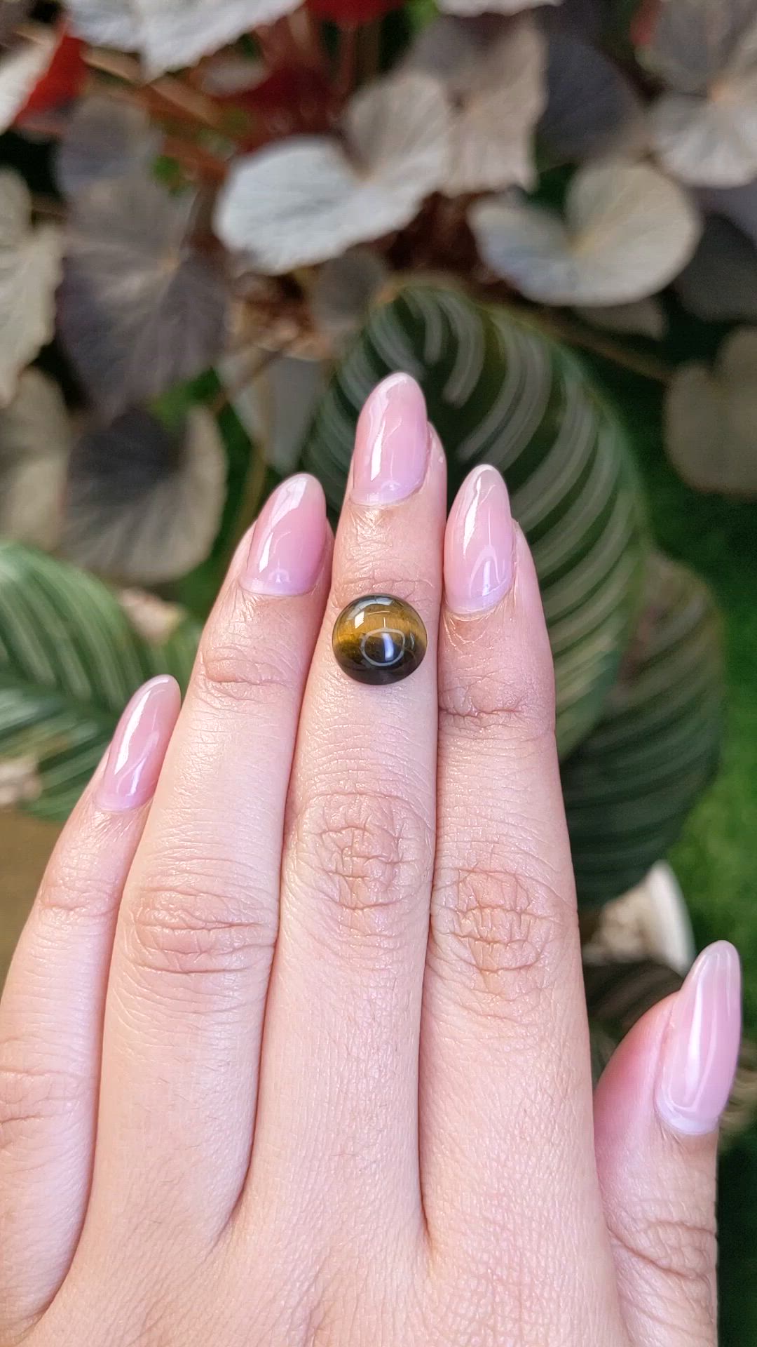 4.25 Ct. Cabochon Tiger's Eye from Ceylon (Sri Lanka) Size Video