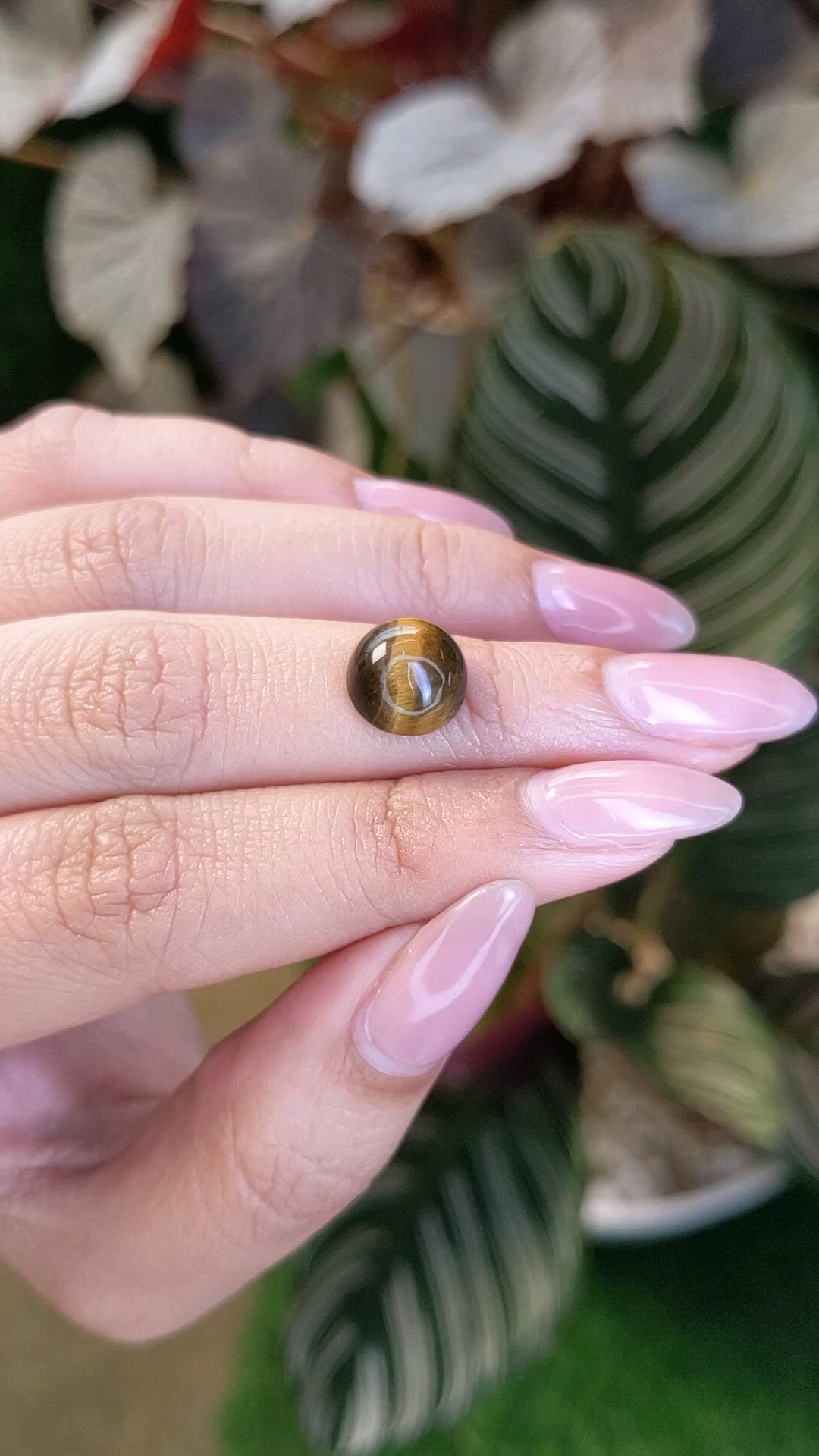 4.25 Ct. Cabochon Tiger's Eye from Ceylon (Sri Lanka) Size Video