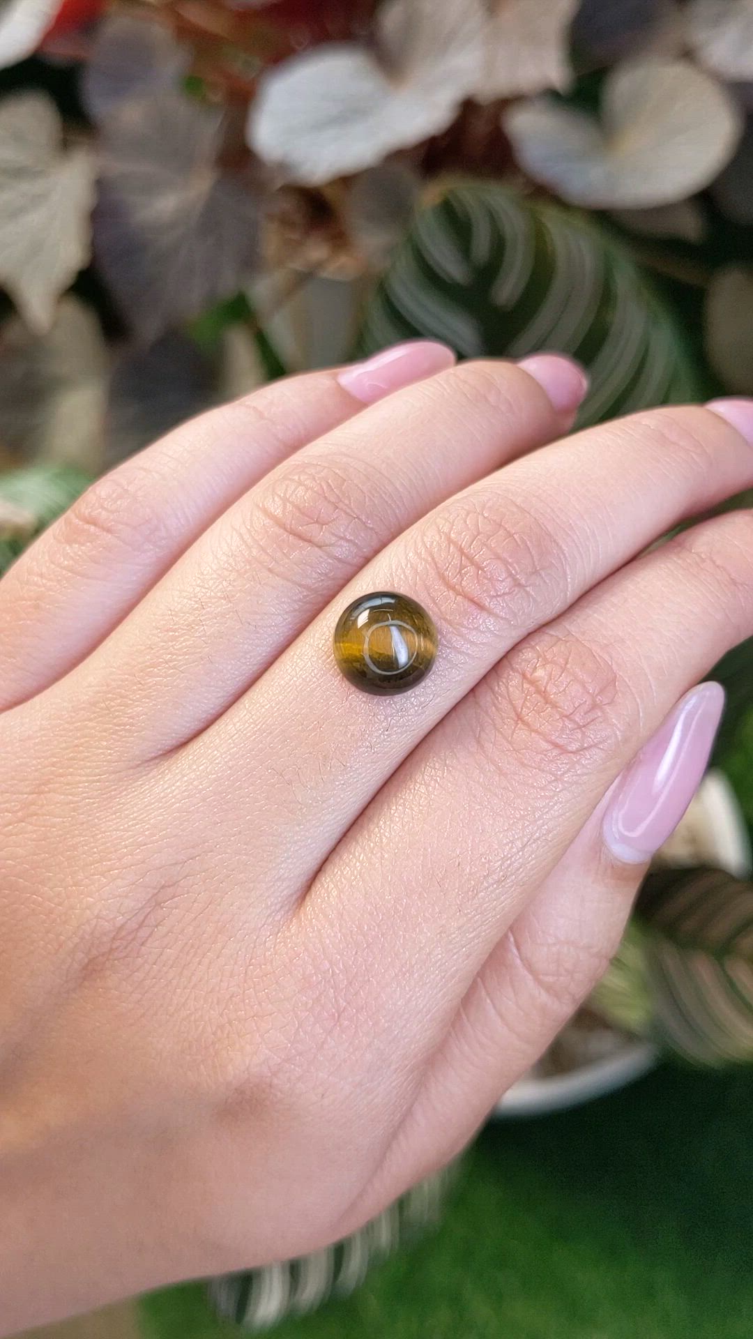 4.25 Ct. Cabochon Tiger's Eye from Ceylon (Sri Lanka) Size Video