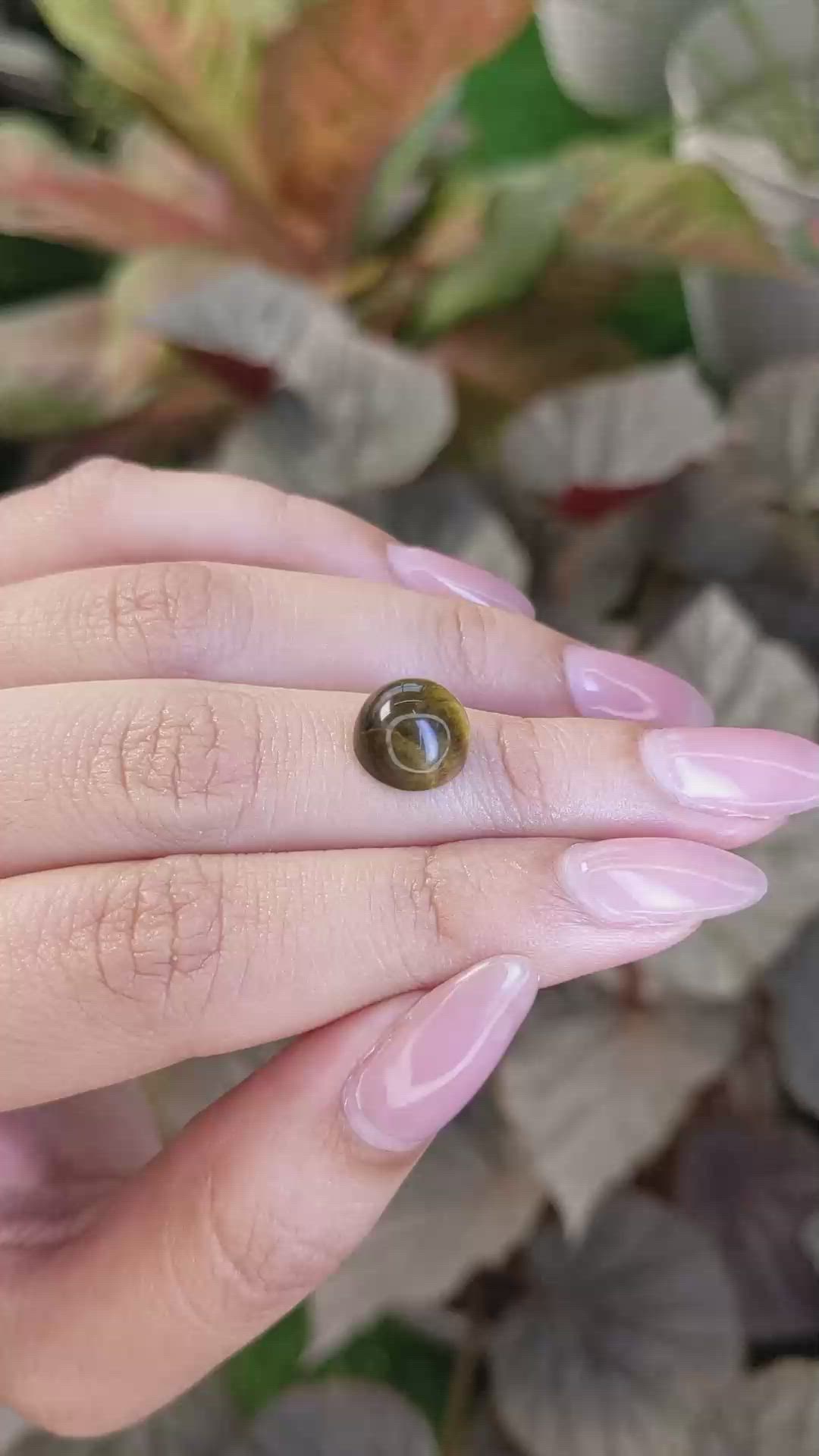 4.36 Ct. Cabochon Tiger's Eye from Ceylon (Sri Lanka) Size Video