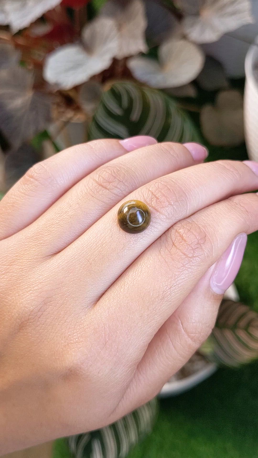 4.31 Ct. Cabochon Tiger's Eye from Ceylon (Sri Lanka) Size Video