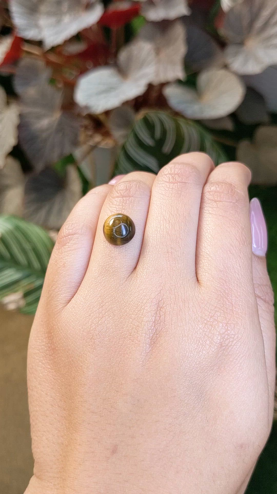 4.31 Ct. Cabochon Tiger's Eye from Ceylon (Sri Lanka) Size Video