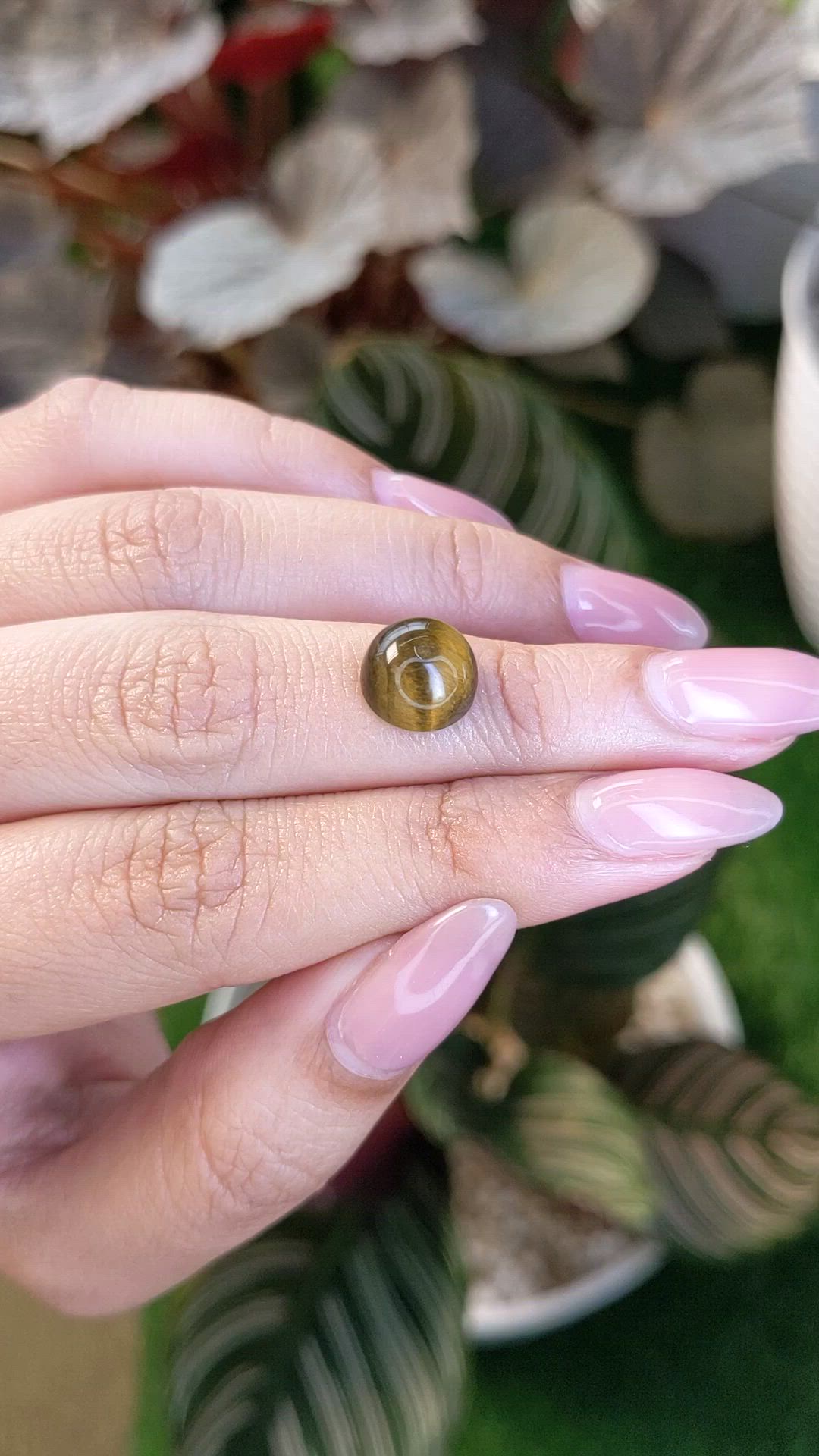 4.31 Ct. Cabochon Tiger's Eye from Ceylon (Sri Lanka) Size Video