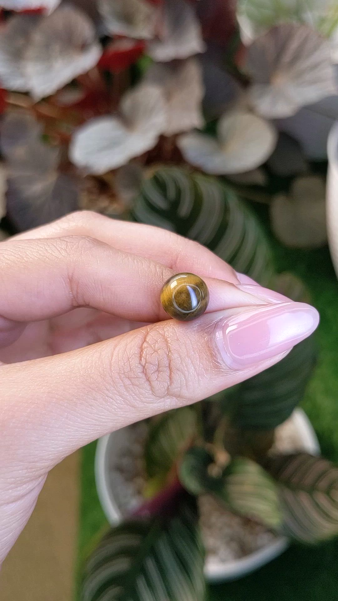 4.31 Ct. Cabochon Tiger's Eye from Ceylon (Sri Lanka) Size Video