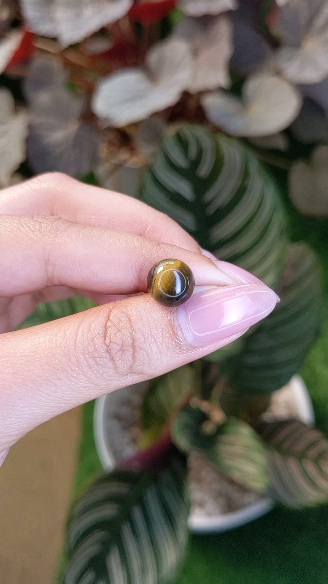 4.38 Ct. Cabochon Tiger's Eye from Ceylon (Sri Lanka) Size Video