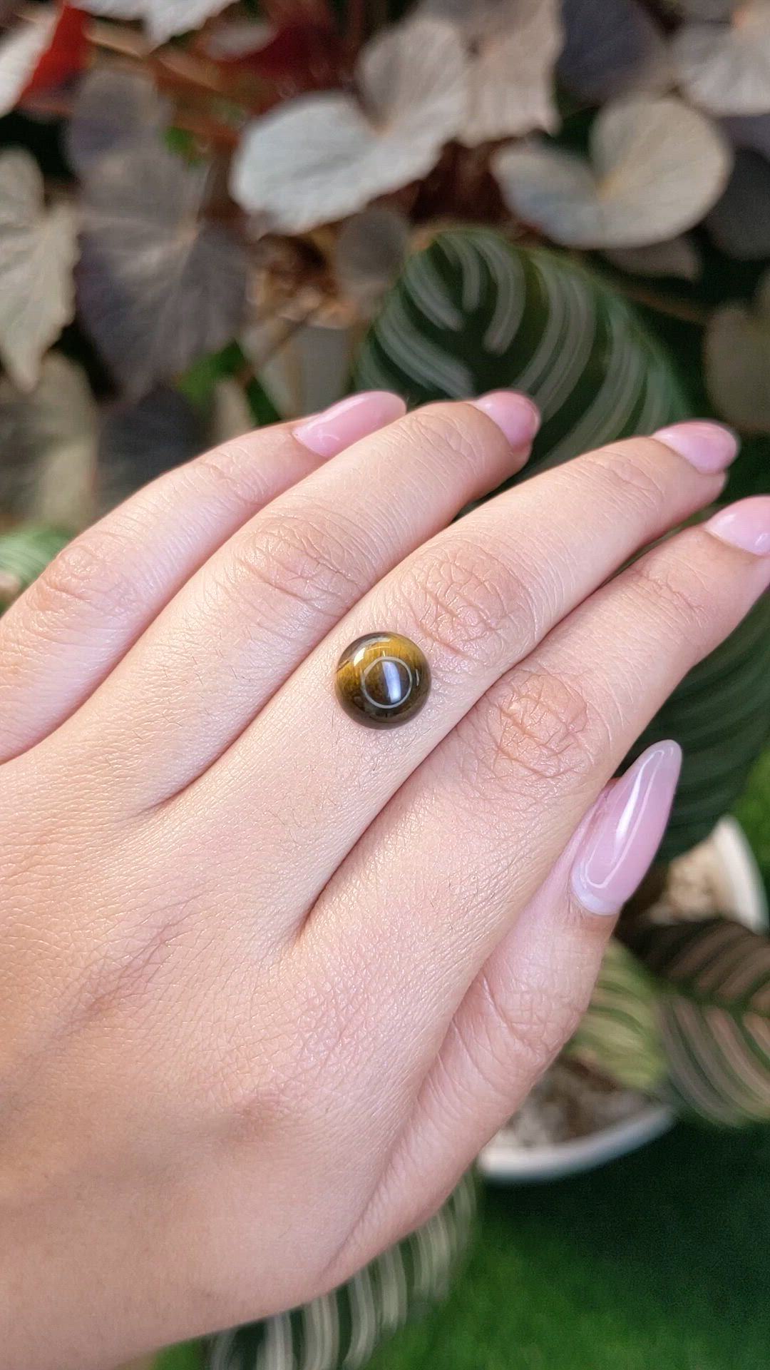 4.38 Ct. Cabochon Tiger's Eye from Ceylon (Sri Lanka) Size Video