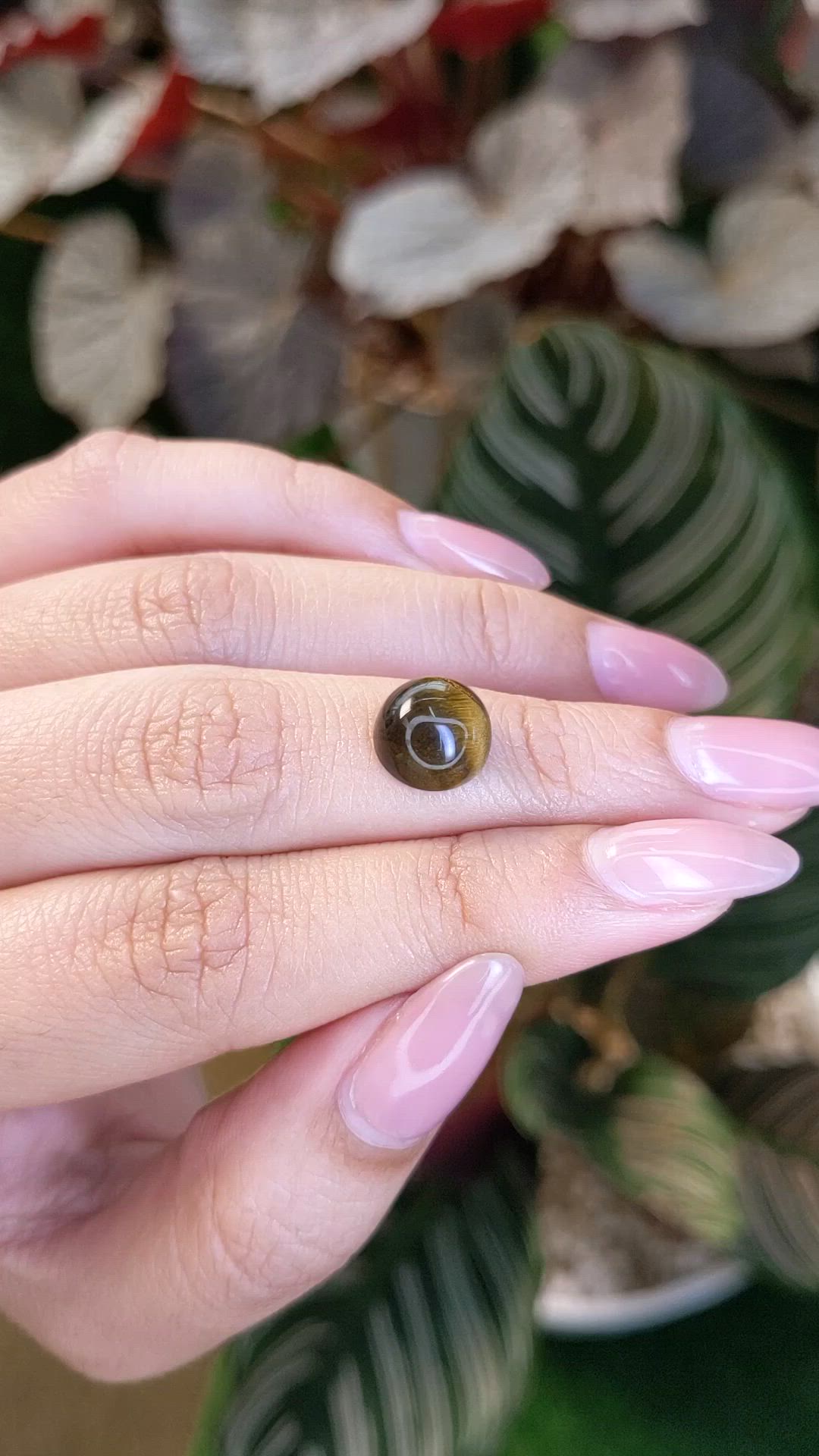 4.38 Ct. Cabochon Tiger's Eye from Ceylon (Sri Lanka) Size Video