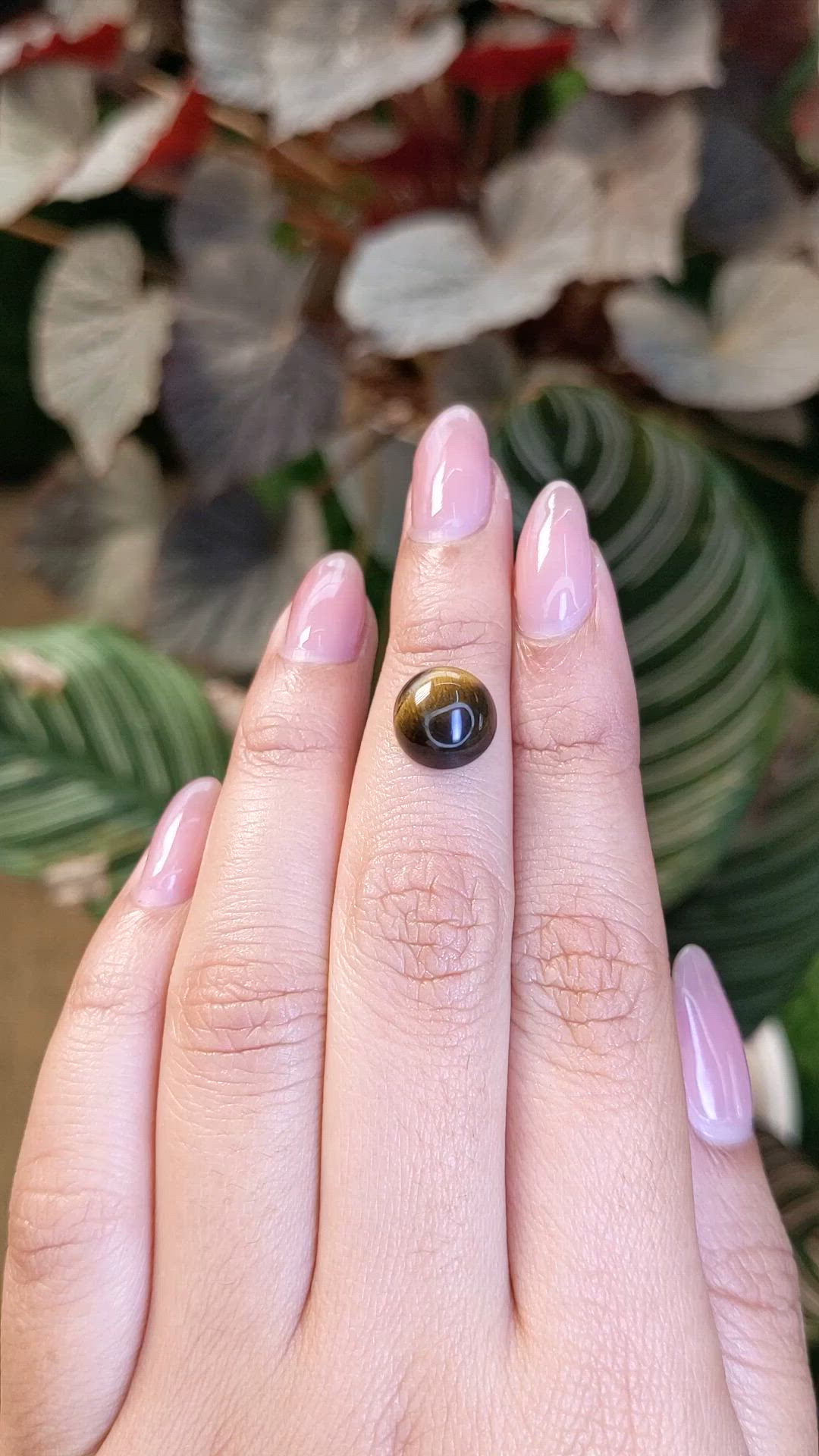 4.38 Ct. Cabochon Tiger's Eye from Ceylon (Sri Lanka) Size Video