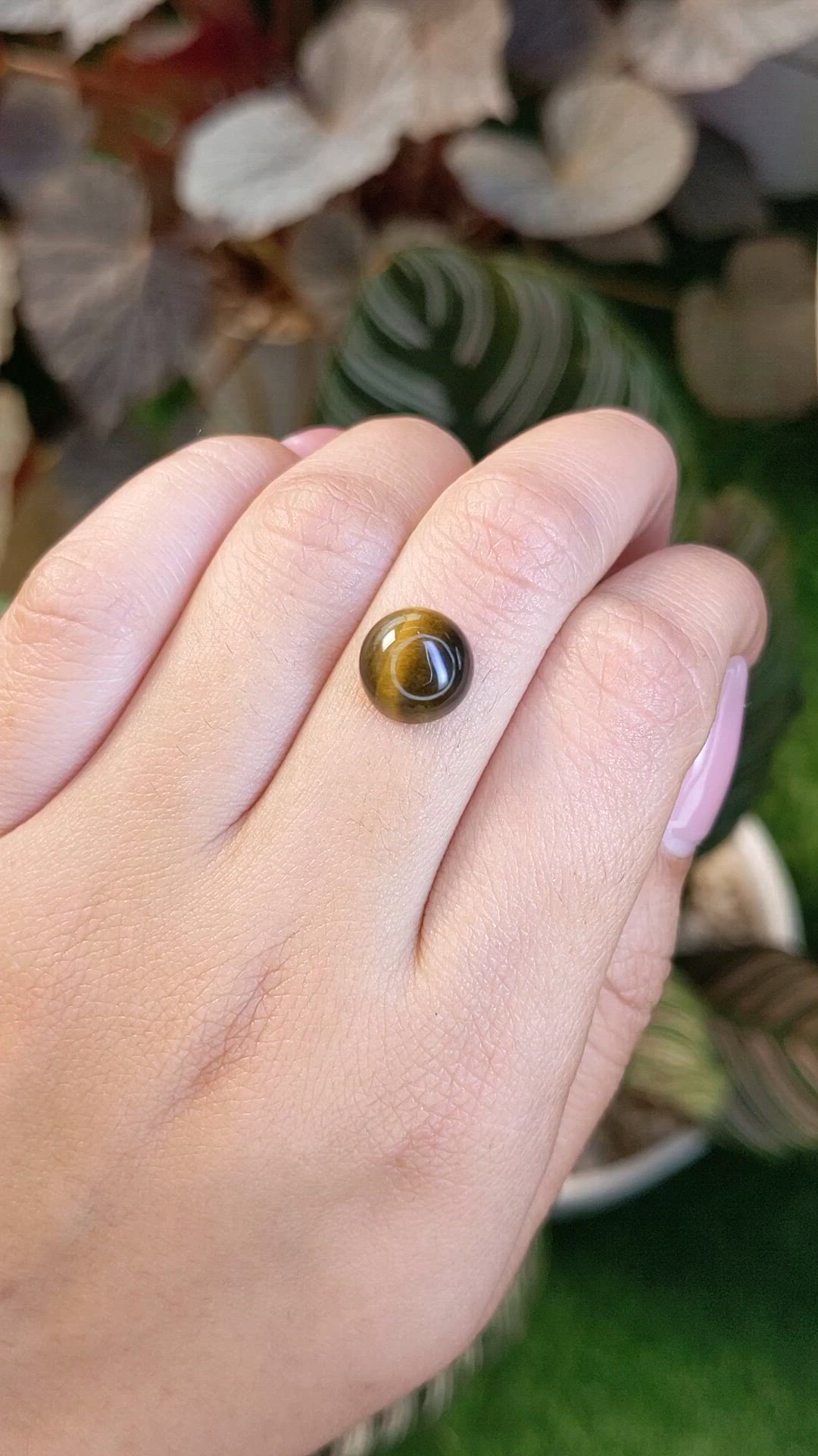 4.27 Ct. Cabochon Tiger's Eye from Ceylon (Sri Lanka) Size Video