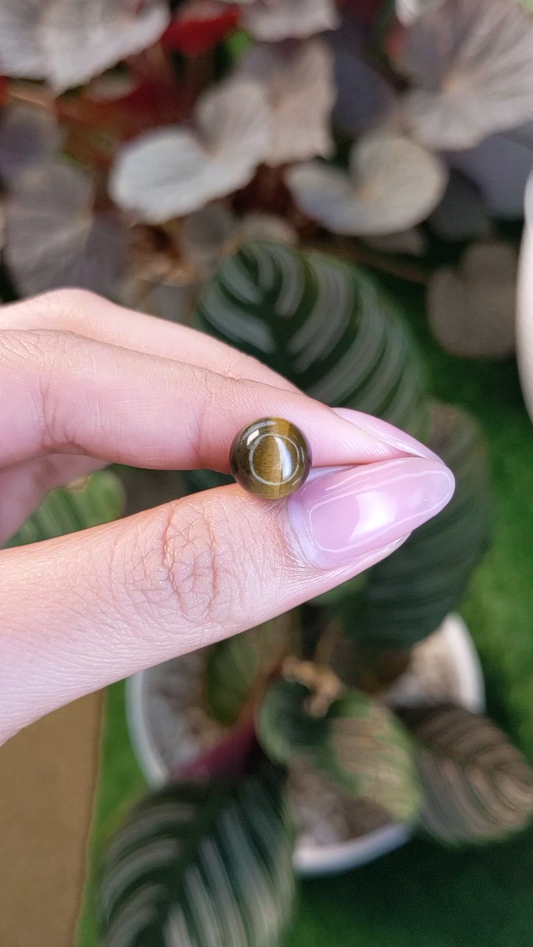 4.27 Ct. Cabochon Tiger's Eye from Ceylon (Sri Lanka) Size Video