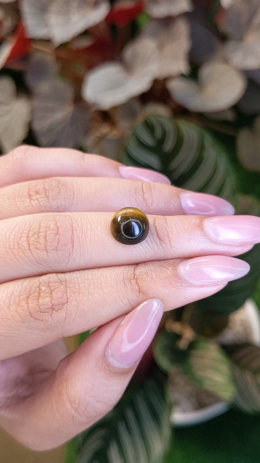 4.27 Ct. Cabochon Tiger's Eye from Ceylon (Sri Lanka) Size Video