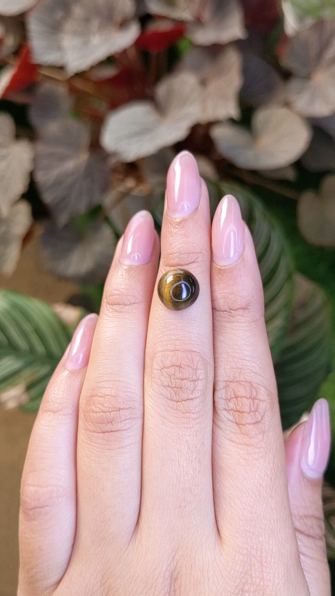4.27 Ct. Cabochon Tiger's Eye from Ceylon (Sri Lanka) Size Video
