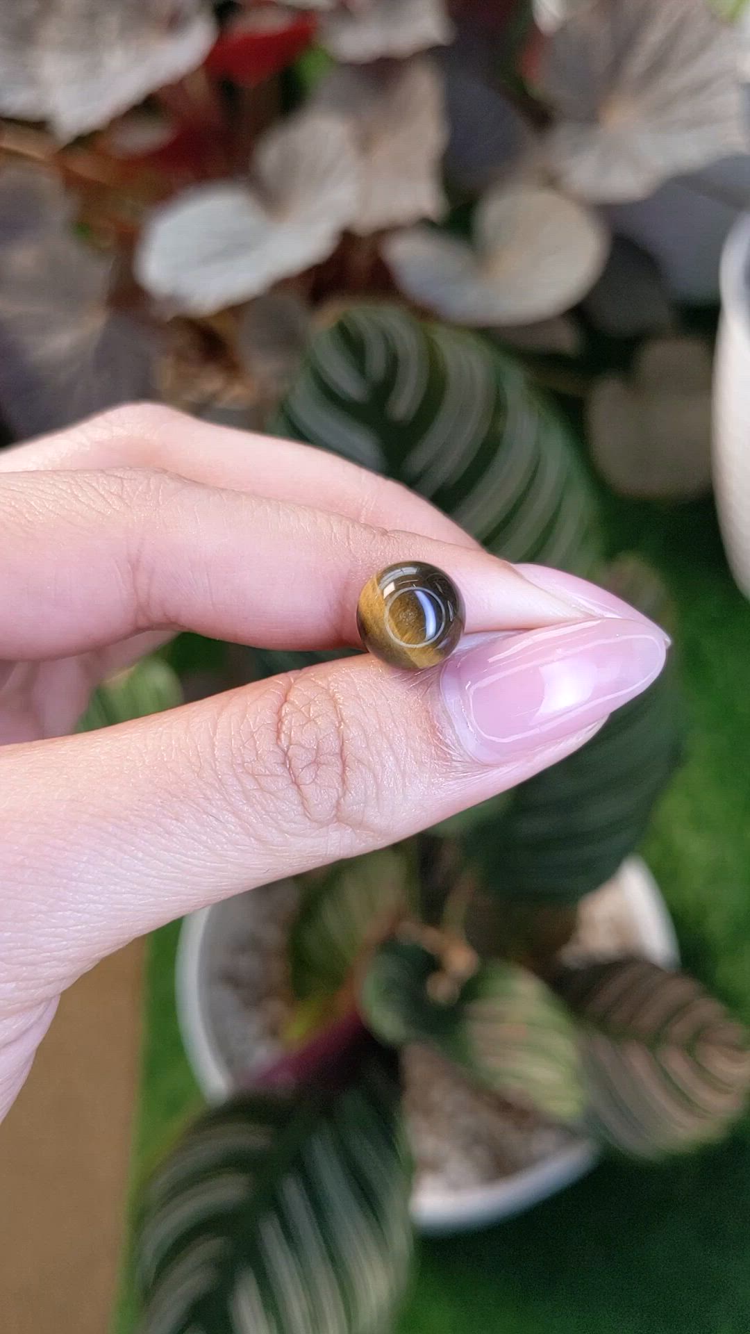 4.37 Ct. Cabochon Tiger's Eye from Ceylon (Sri Lanka) Size Video