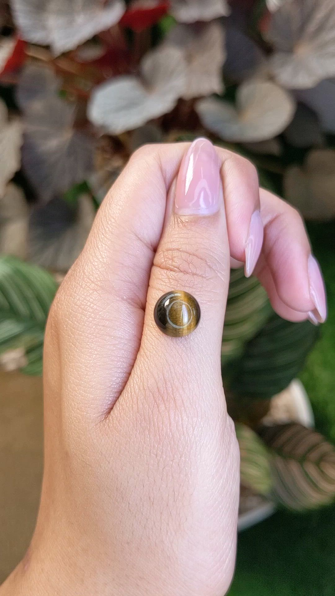 4.37 Ct. Cabochon Tiger's Eye from Ceylon (Sri Lanka) Size Video