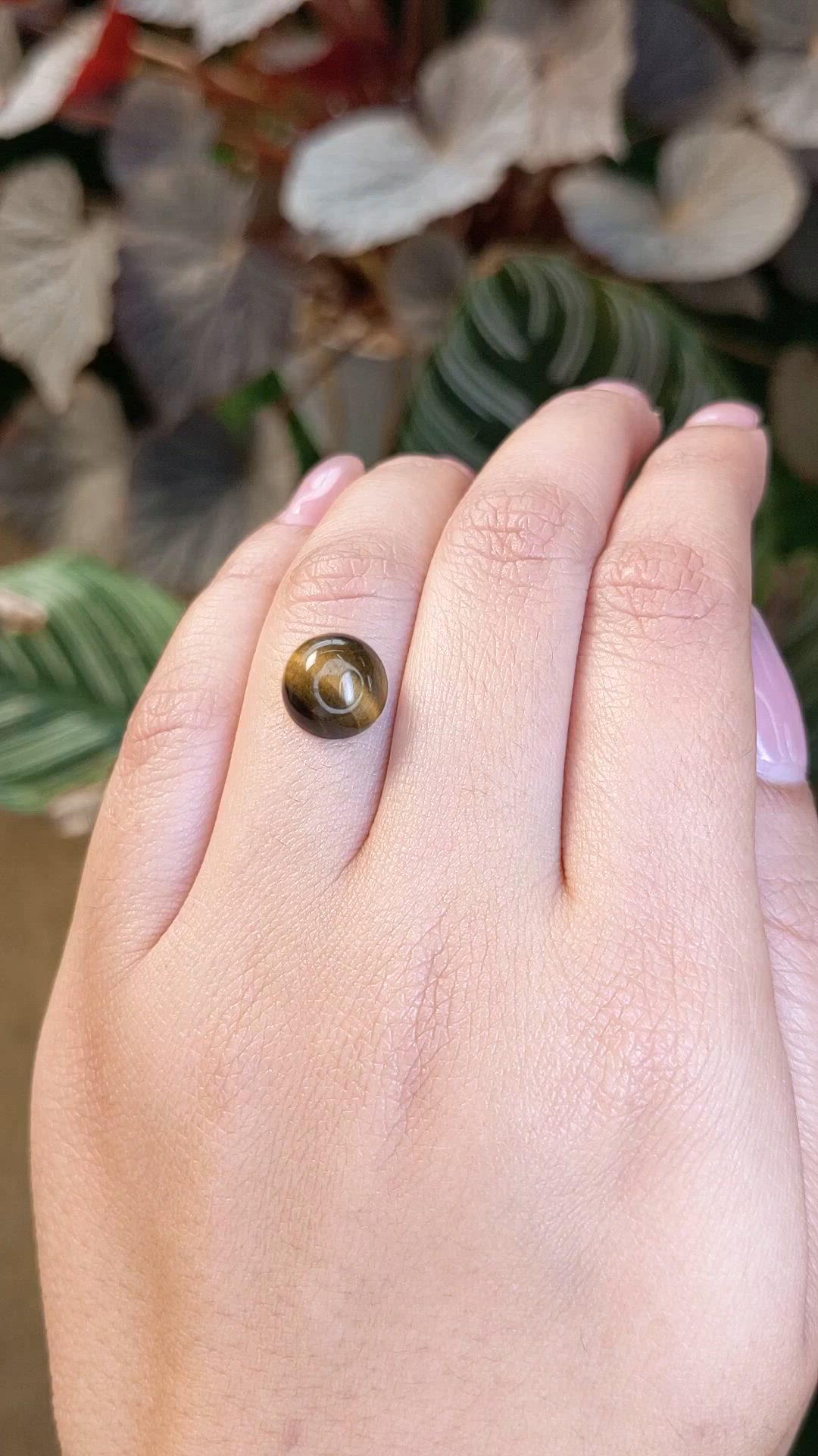 4.37 Ct. Cabochon Tiger's Eye from Ceylon (Sri Lanka) Size Video