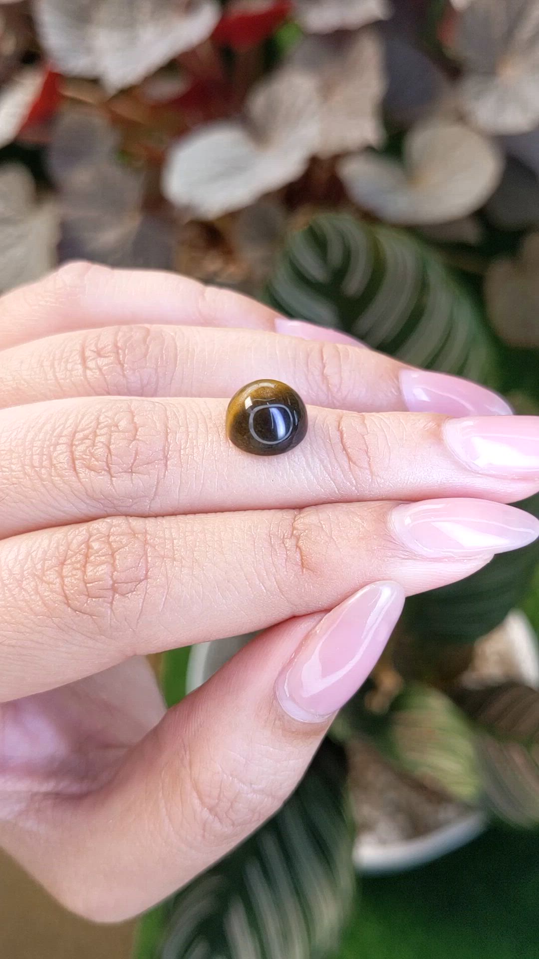 4.37 Ct. Cabochon Tiger's Eye from Ceylon (Sri Lanka) Size Video