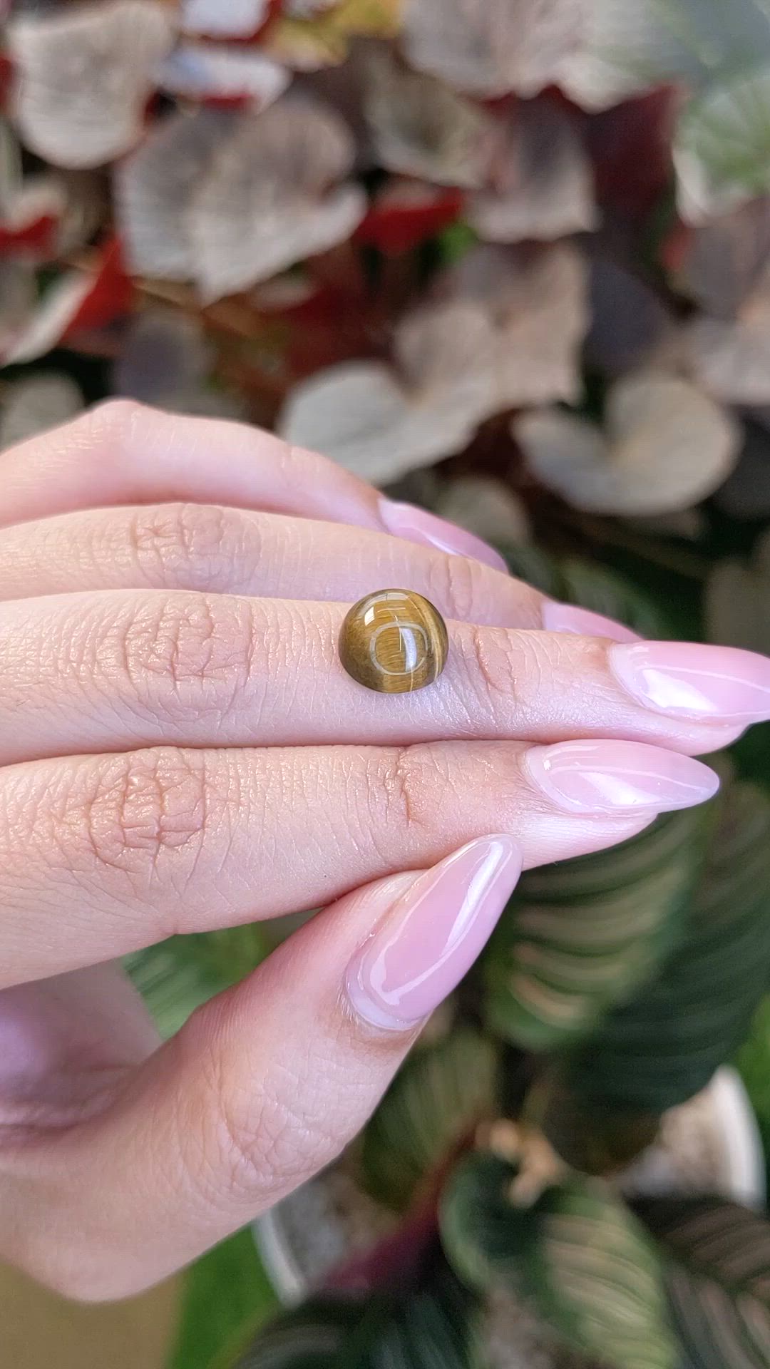 4.47 Ct. Cabochon Tiger's Eye from Ceylon (Sri Lanka) Size Video