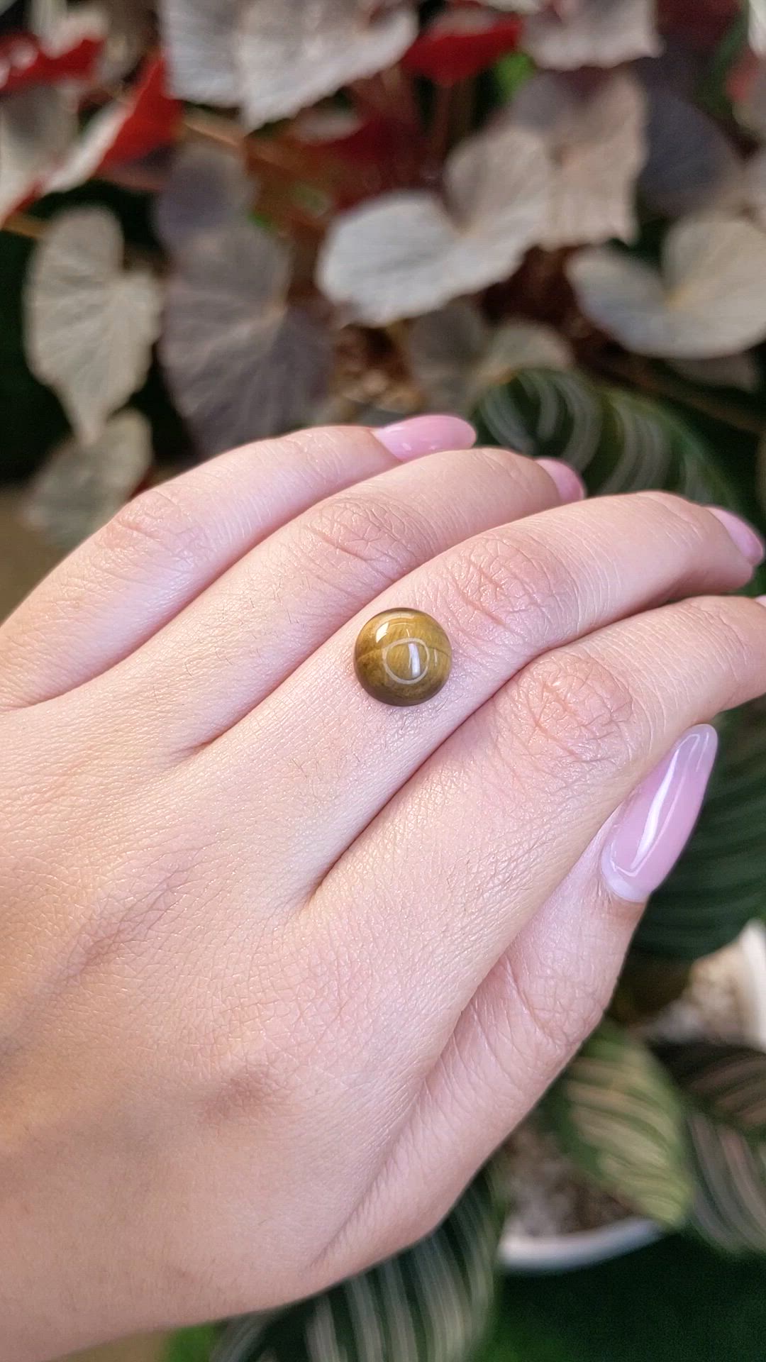 4.47 Ct. Cabochon Tiger's Eye from Ceylon (Sri Lanka) Size Video